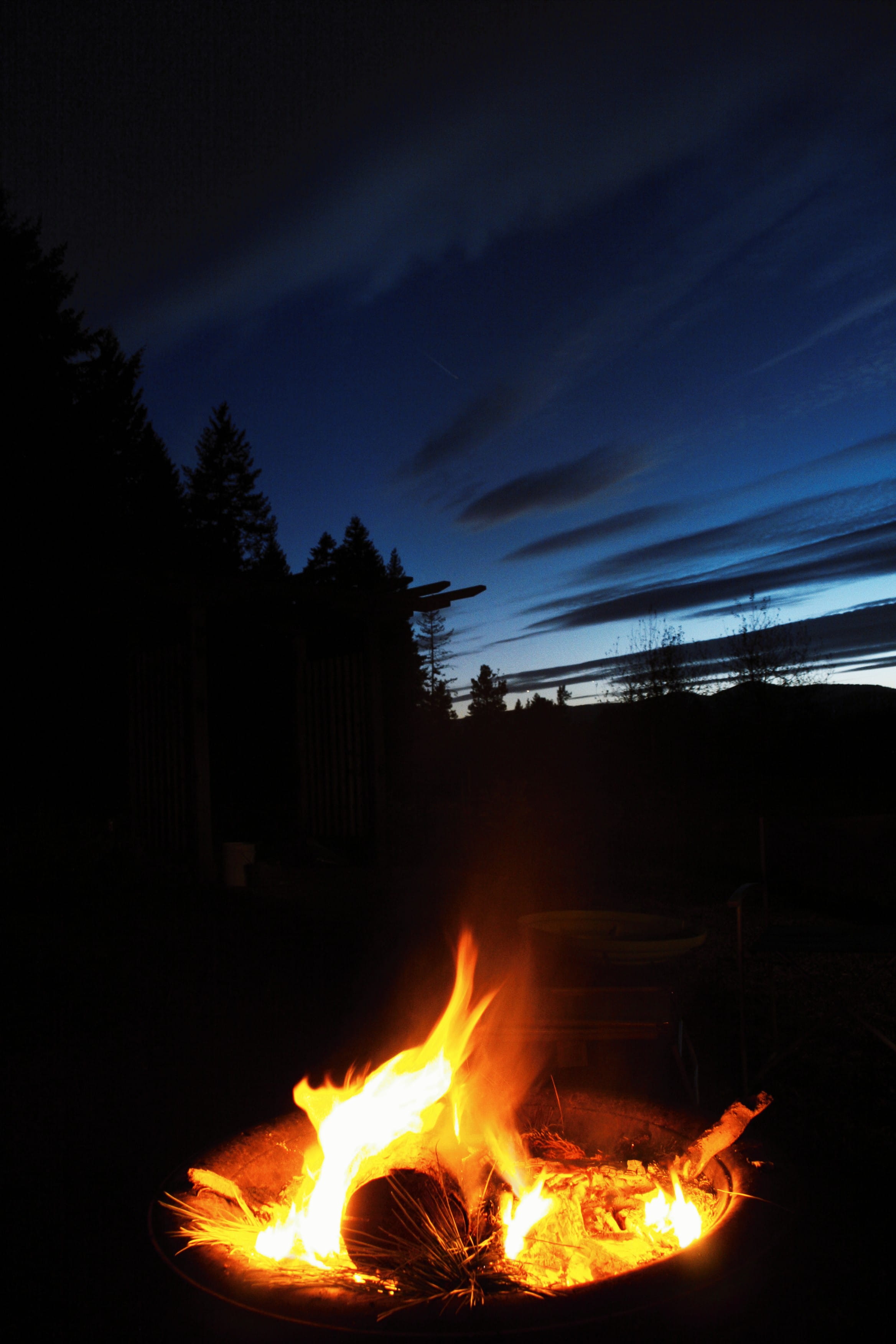 illuminated, survival, warm, pine tree, hiking, firepit, sunset, 2K, fire, lost, plant, bonfire, kegger, camping, land, outdoors, fire - natural phenomenon, Phone HD Wallpaper