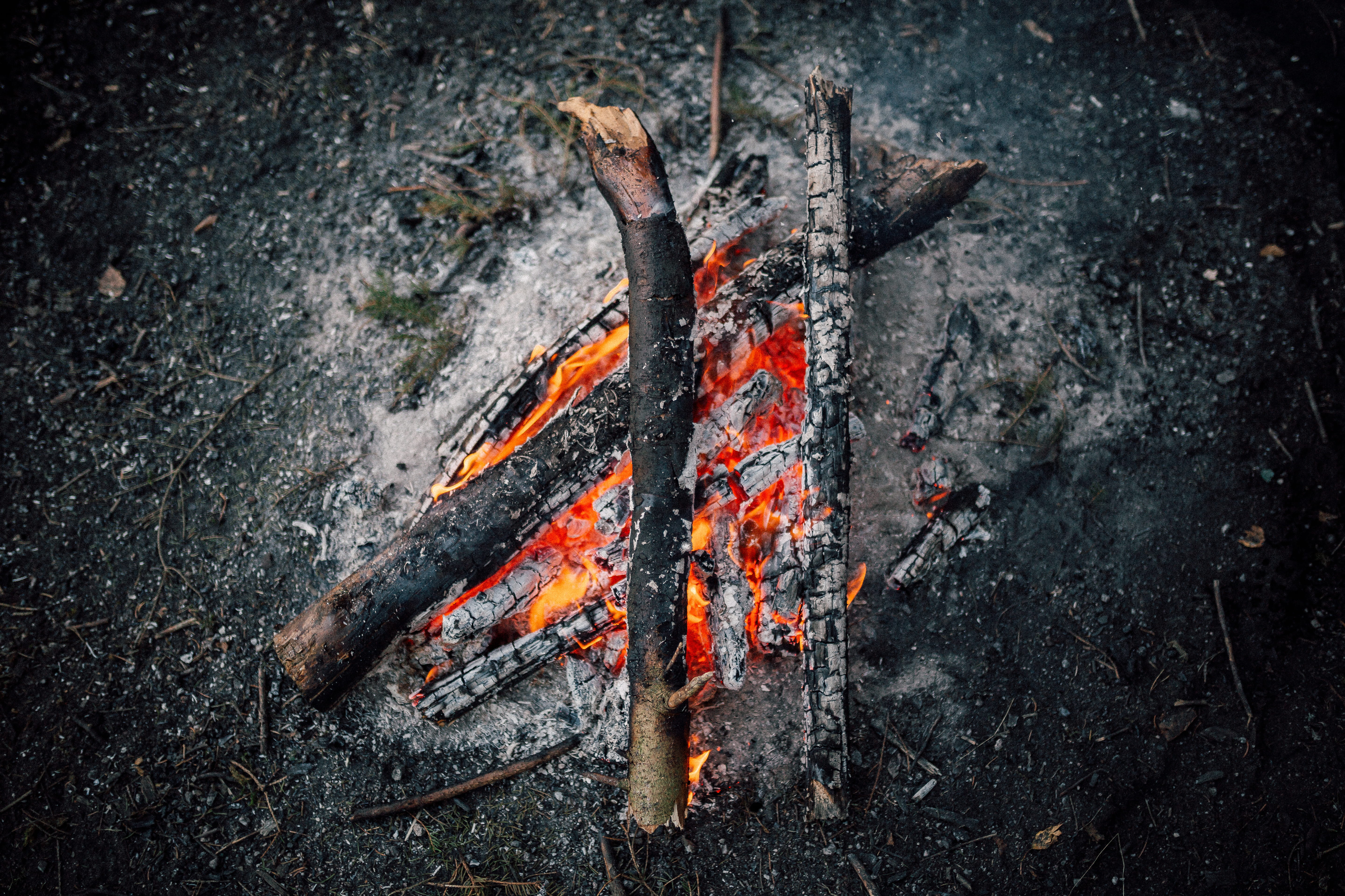 fire, wood - Material, grilled, nature, vogtland, heat - Temperature, warm, 5K, burnt, coal, campfire, barbecue Grill, fireplace, smoke - Physical Structure, HD Wallpaper