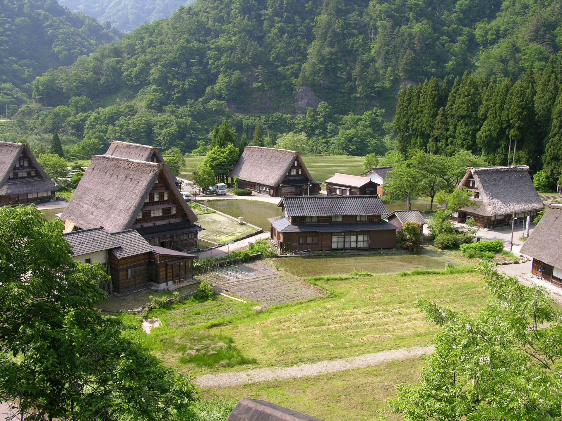 nature and landscapes, 1080P, nature, japan, houses, huts, nipa, gokayama, mountain, brown, grass, HD Wallpaper