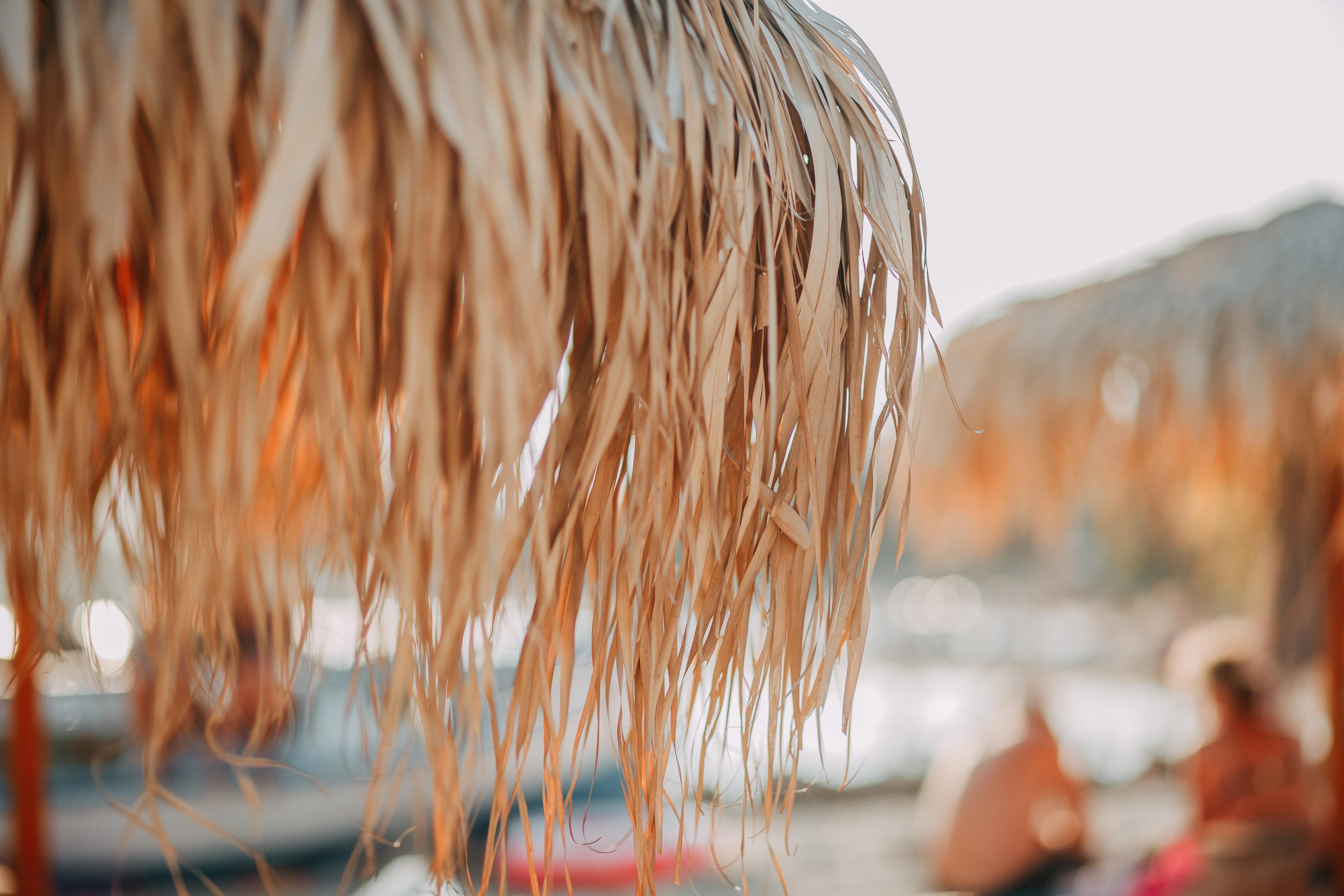 brown, 5K, hair, headshot, nipa, water, beautiful, outdoors, incidental people, beach, human hair, color, sunlight, hairstyle, day, summer, close-up, nature, HD Wallpaper