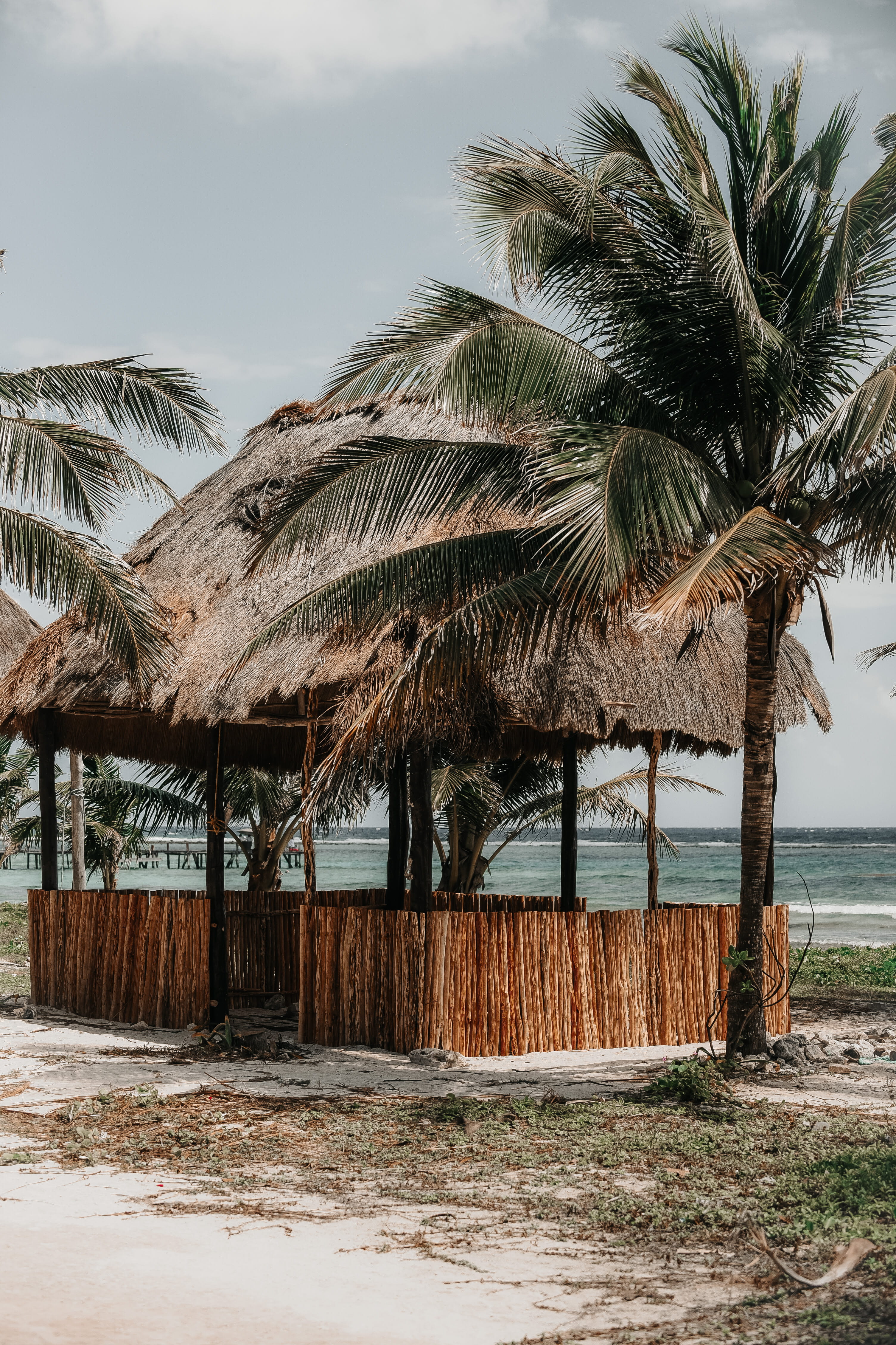 horizon over water, plant, growth, beauty in nature, sea, thatched roof, nature, palm tree, no people, water, beside, outdoors, hut, tropical climate, tree, Phone HD Wallpaper