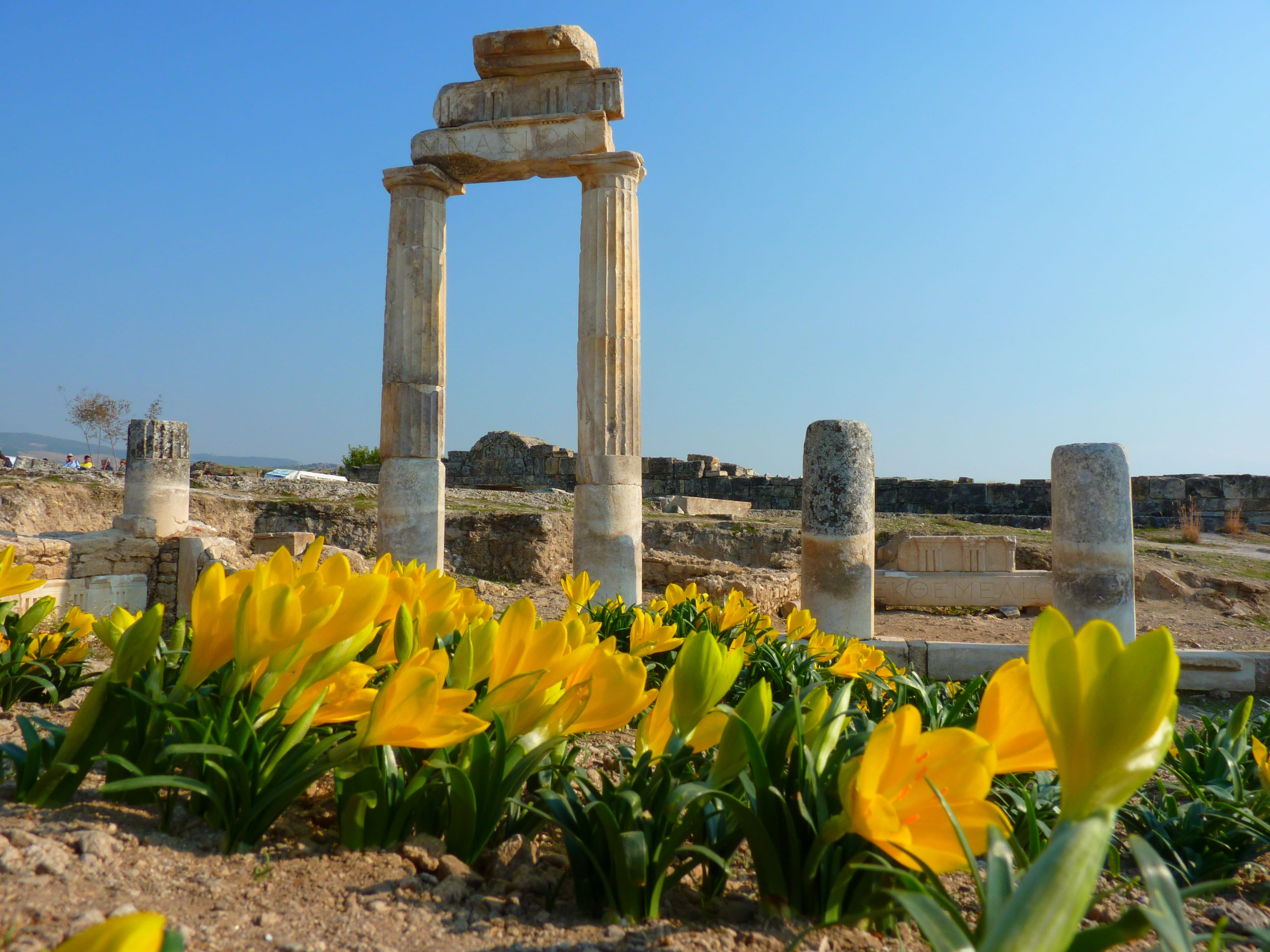 deterioration, hierapolis, flower, travel destinations, damaged, sky, architectural column, ancient, built structure, 4K, unesco, old ruin, nature, flowering plant, HD Wallpaper