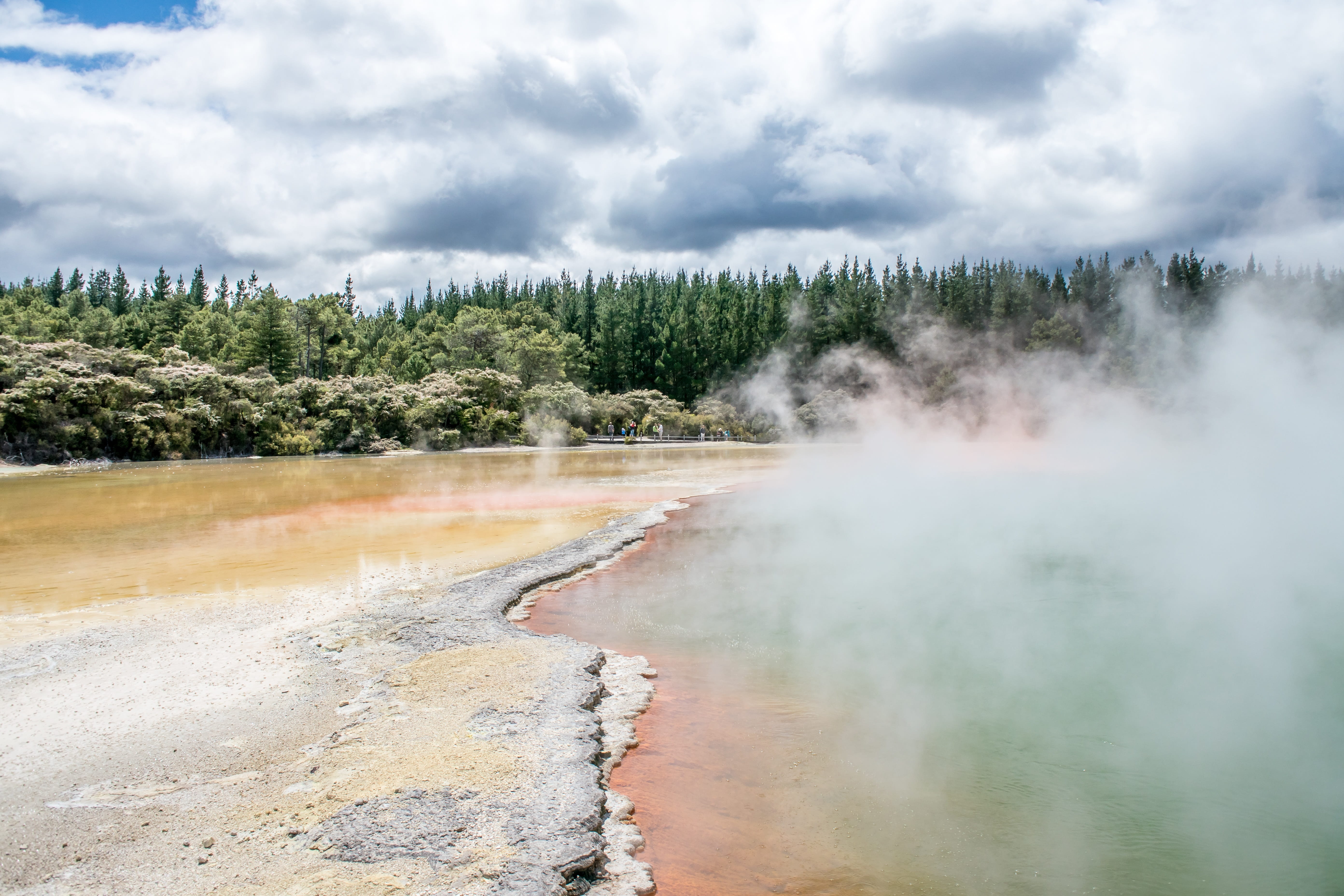 rotorua, non-urban scene, power in nature, physical geography, water, hotpool, geology, hot spring, day, champagne pool, steam, 5K, tranquil scene, nature, HD Wallpaper