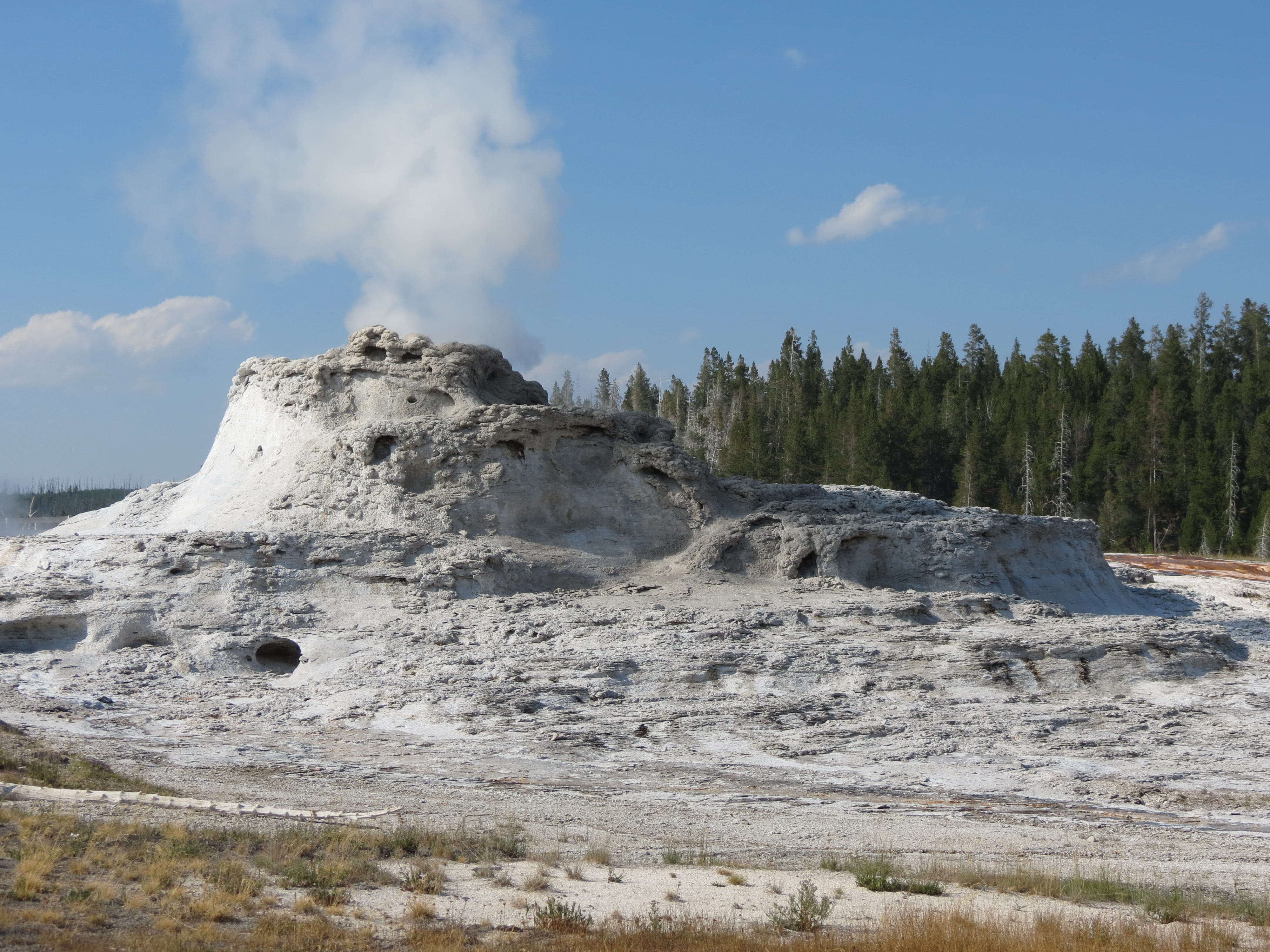 environment, outdoor, landscape, castle geyser, 4K, Thermal, hot spring, scenic, hot pool, yellowstone, power in nature, beauty in nature, tree, Geysers, HD Wallpaper