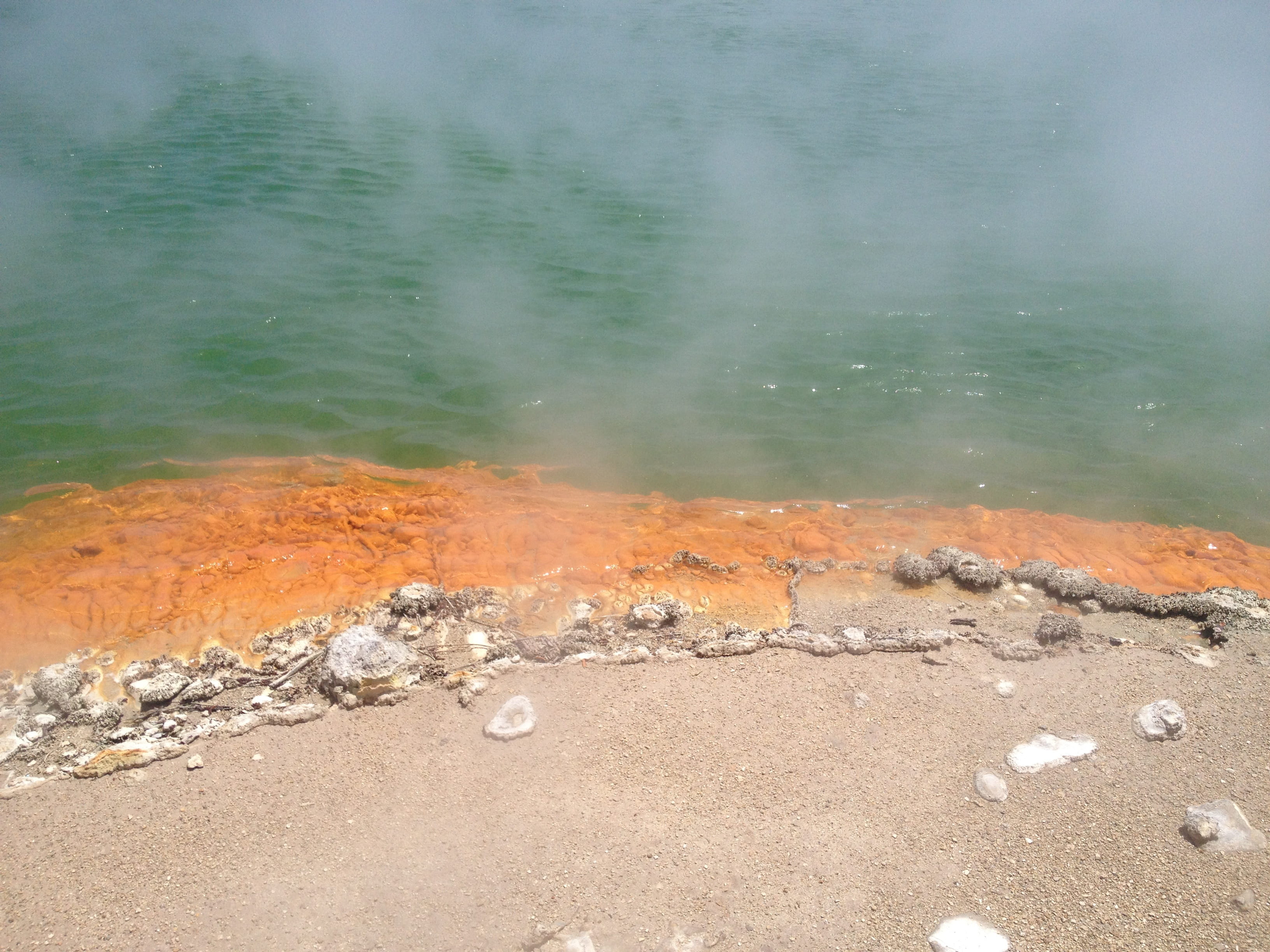 Waiotapu, land, tranquility, solid, scenics - nature, geological, Geothermal, hot spring, beauty in nature, rock, sea, new zealand, power in nature, Volcanic, HD Wallpaper