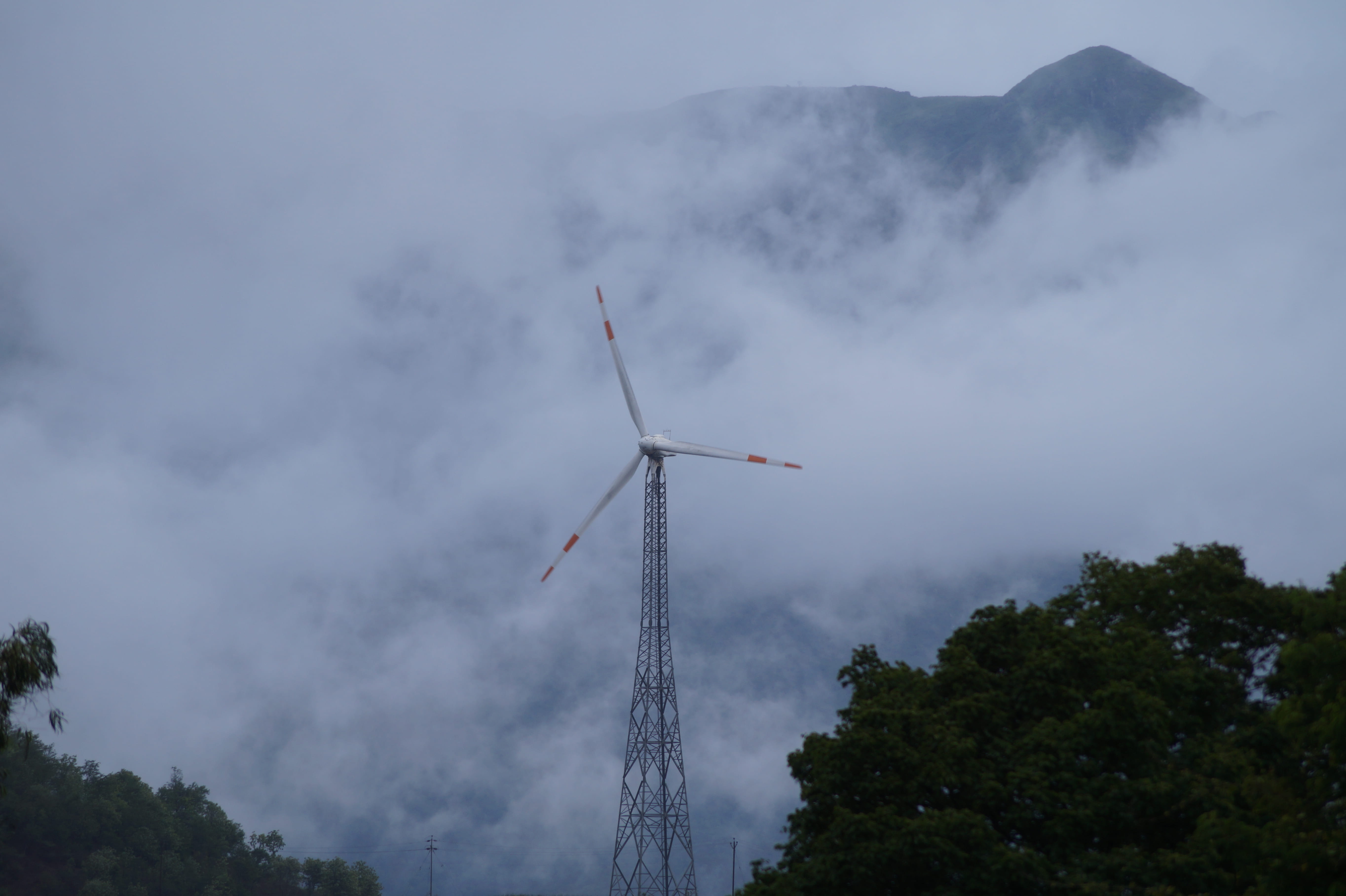 plant, power, alternative energy, nomanland, environment, silent valley national park, no people, beauty, tree, built structure, 5K, kerala, sky, environmental conservation, HD Wallpaper