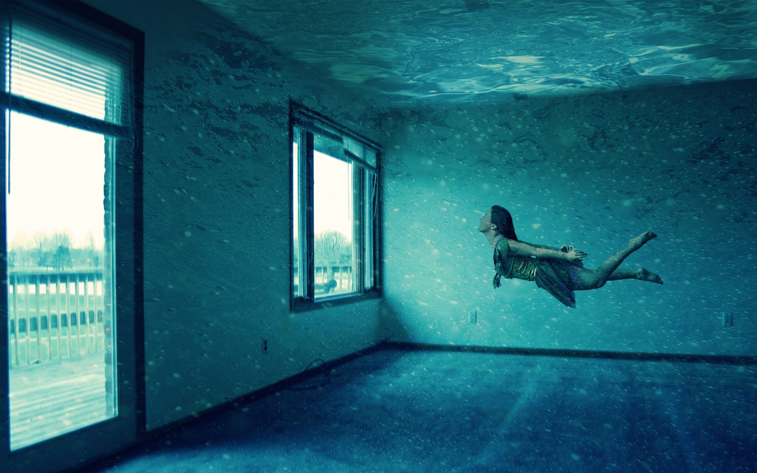 glass - material, window, fish, pane, animal wildlife, underwater diving, undersea, sea, indoors, cyan, vertebrate, water, surreal, full length, day, white, HD Wallpaper