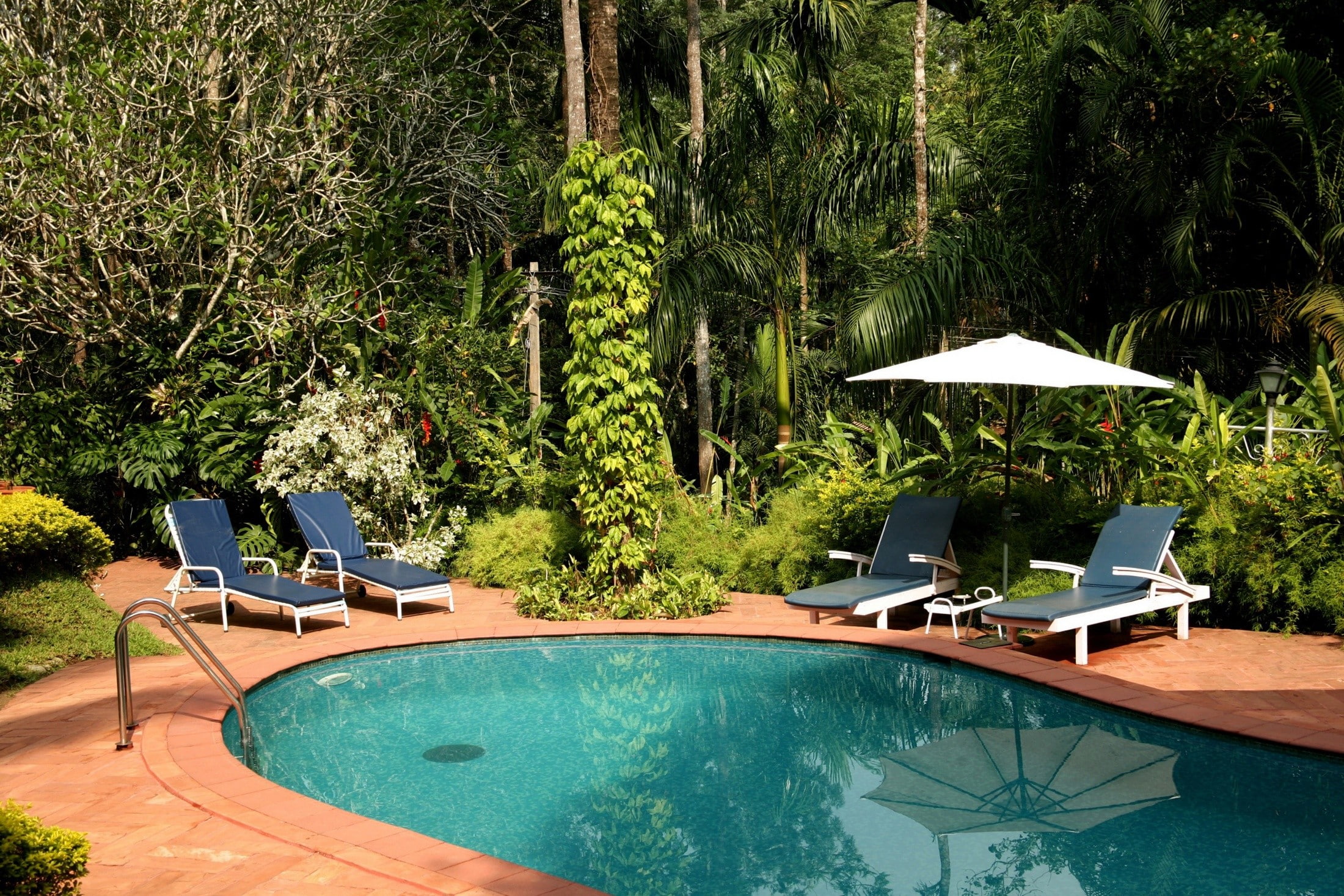 tranquility, nature, seat, absence, 1080P, day, chair, poolside, tourist resort, lounge chair, swimming pool, growth, green color, plant, water, tree, HD Wallpaper