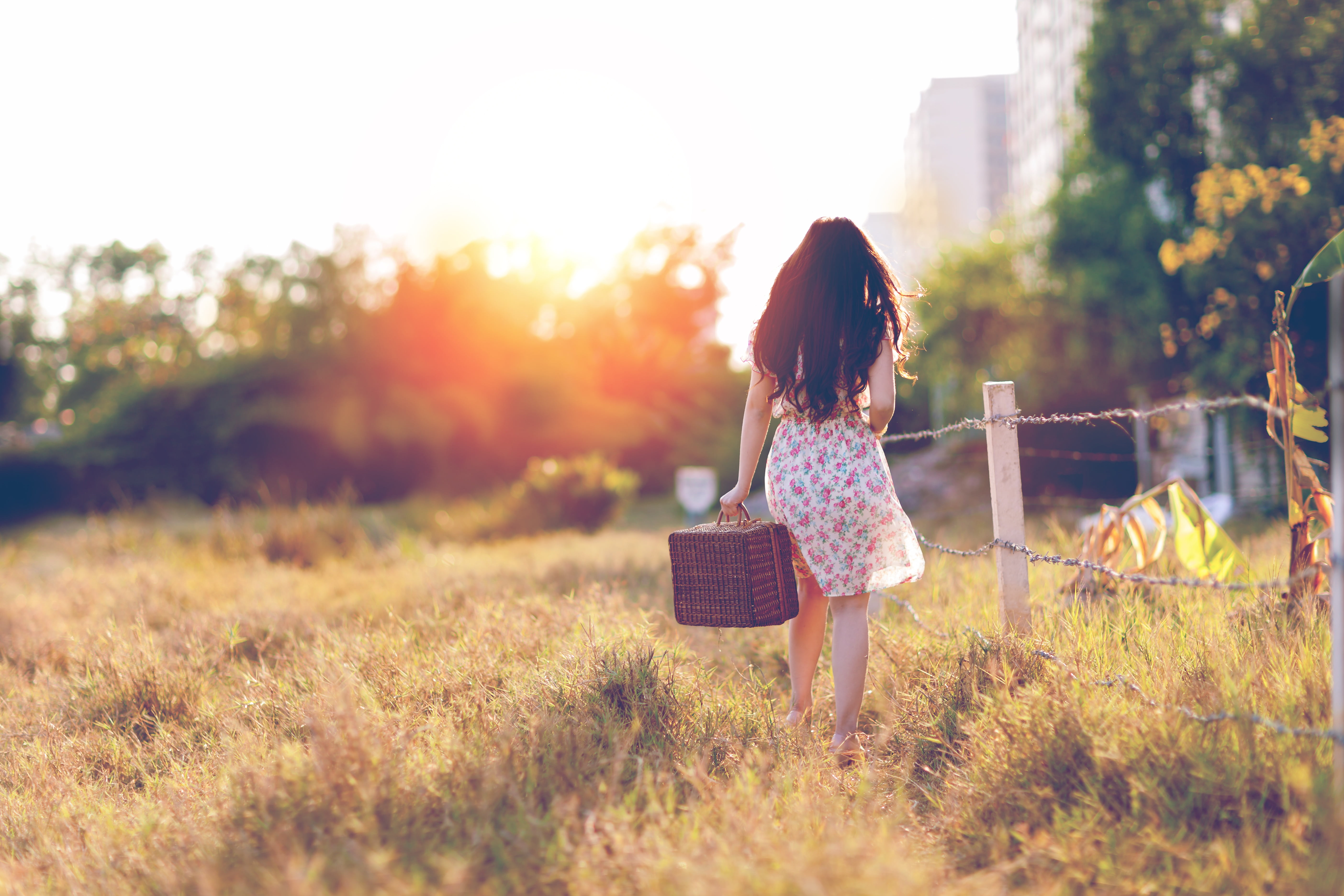 pm ta, plant, city corner, woman, out going, near, fashion, sunlight, child, nature, dress, hair, suit, sunset, the tray, day, outdoors, grass, people, HD Wallpaper