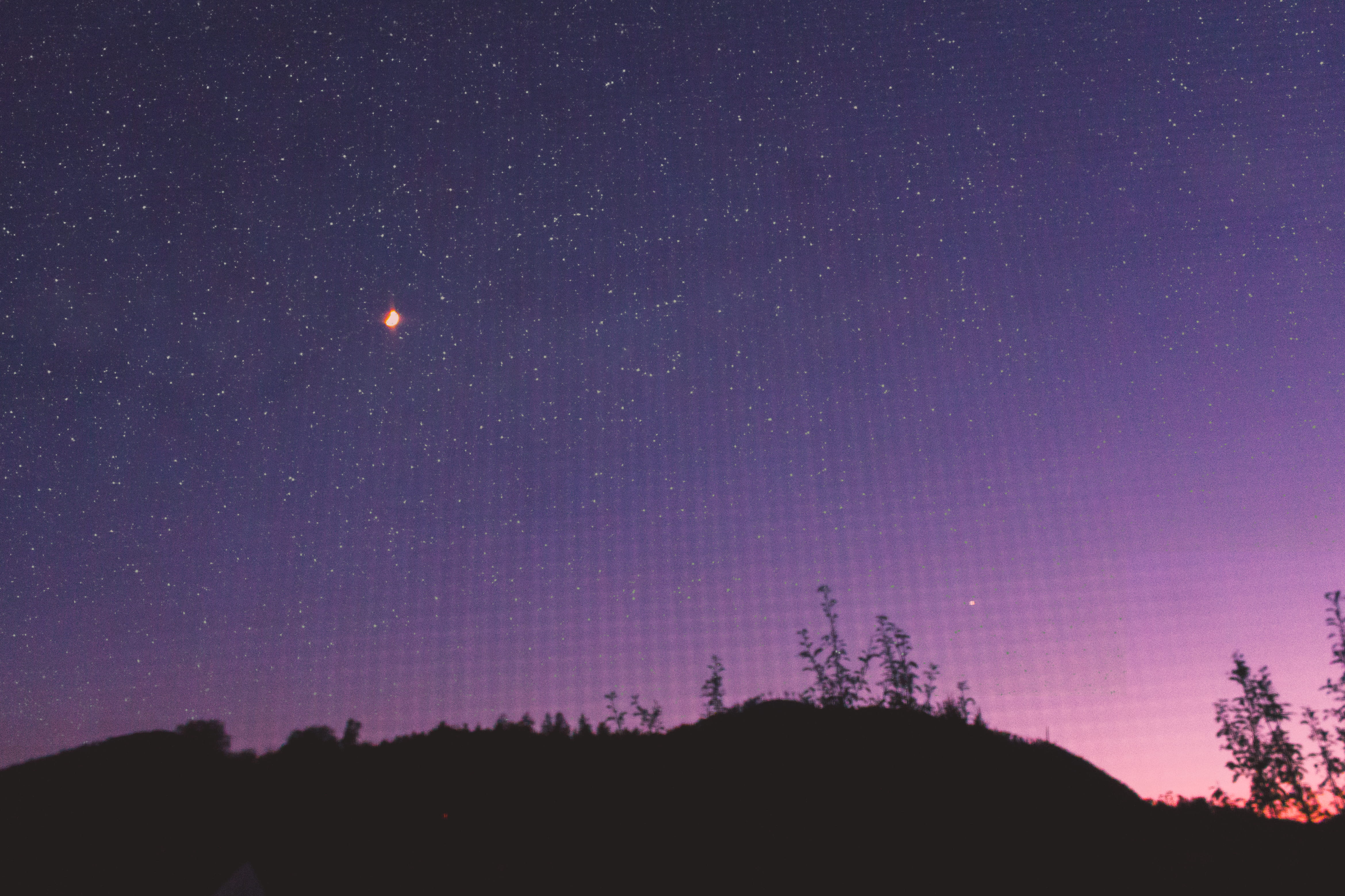 astronomy, star field, star, purple, star - space, tree, nature, moon, sky, austria, idyllic, tranquil scene, tranquility, space, deutschfeistritz, outdoors, HD Wallpaper