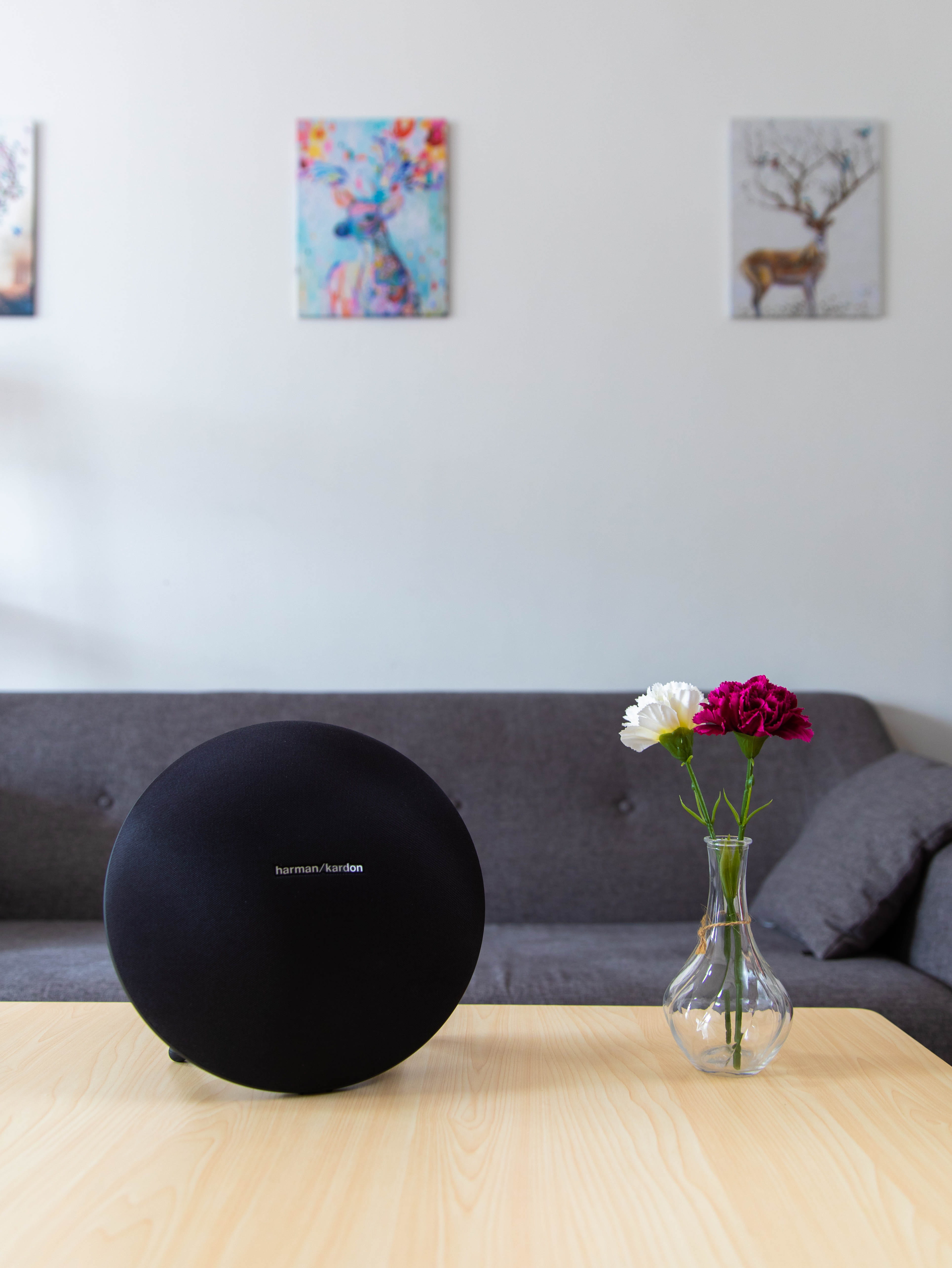 5K, speaker, wood - material, focus on foreground, minimal, close-up, flower arrangement, coffee table, lifestyles, still life, vase, art, wireless, no people, Phone HD Wallpaper