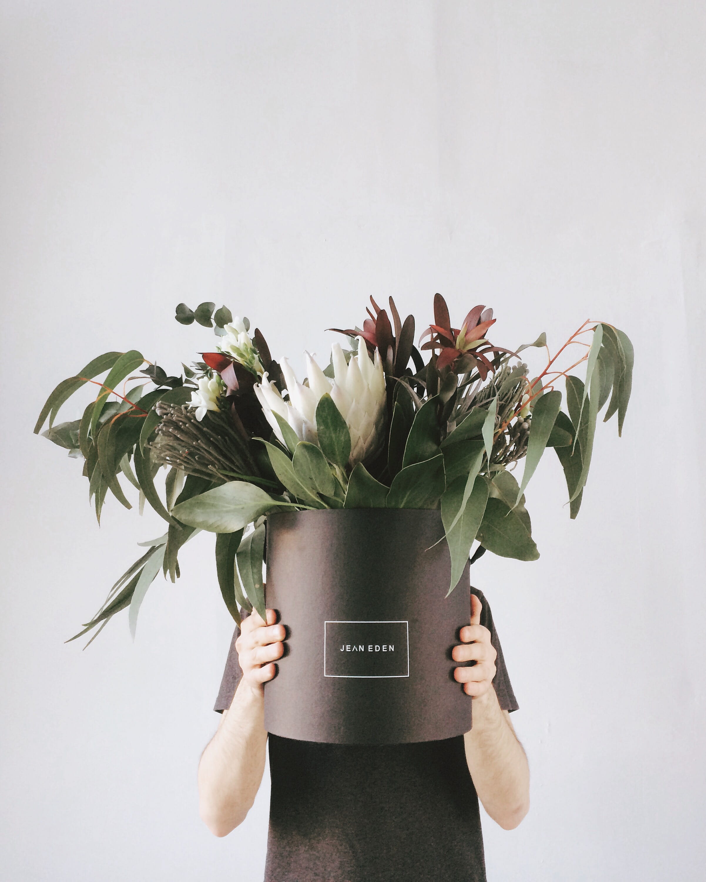 bouquet, nature, bay, studio shot, human hand, summer, white background, plant part, flower arrangement, flora, flowering plant, lifestyles, potted, flower, Phone HD Wallpaper