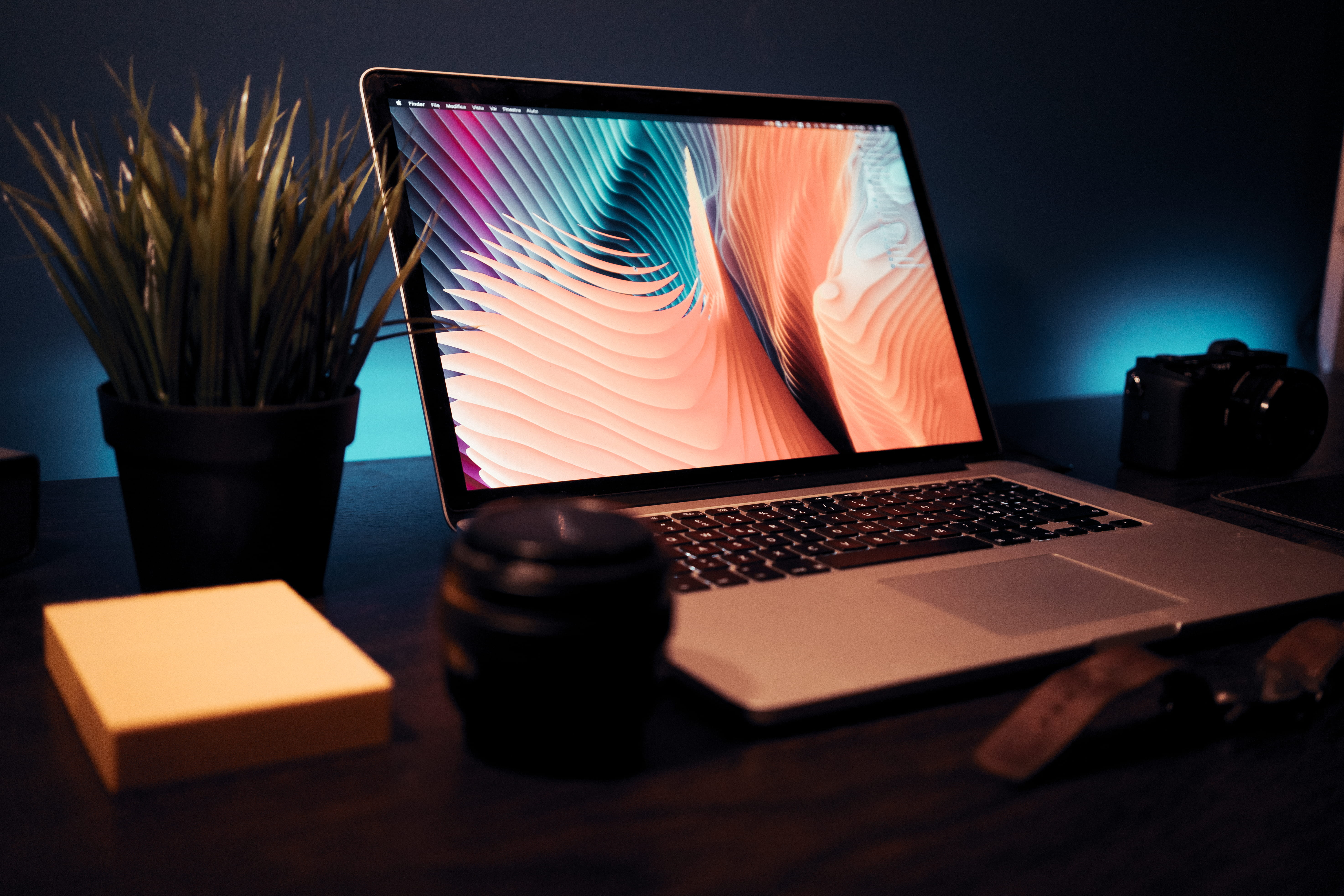 display device, Internet, light, screen, Sitting, flora, Computer Monitor, Still Life, electronic device, laptop, desktop pc, Computer, personal computer, HD Wallpaper