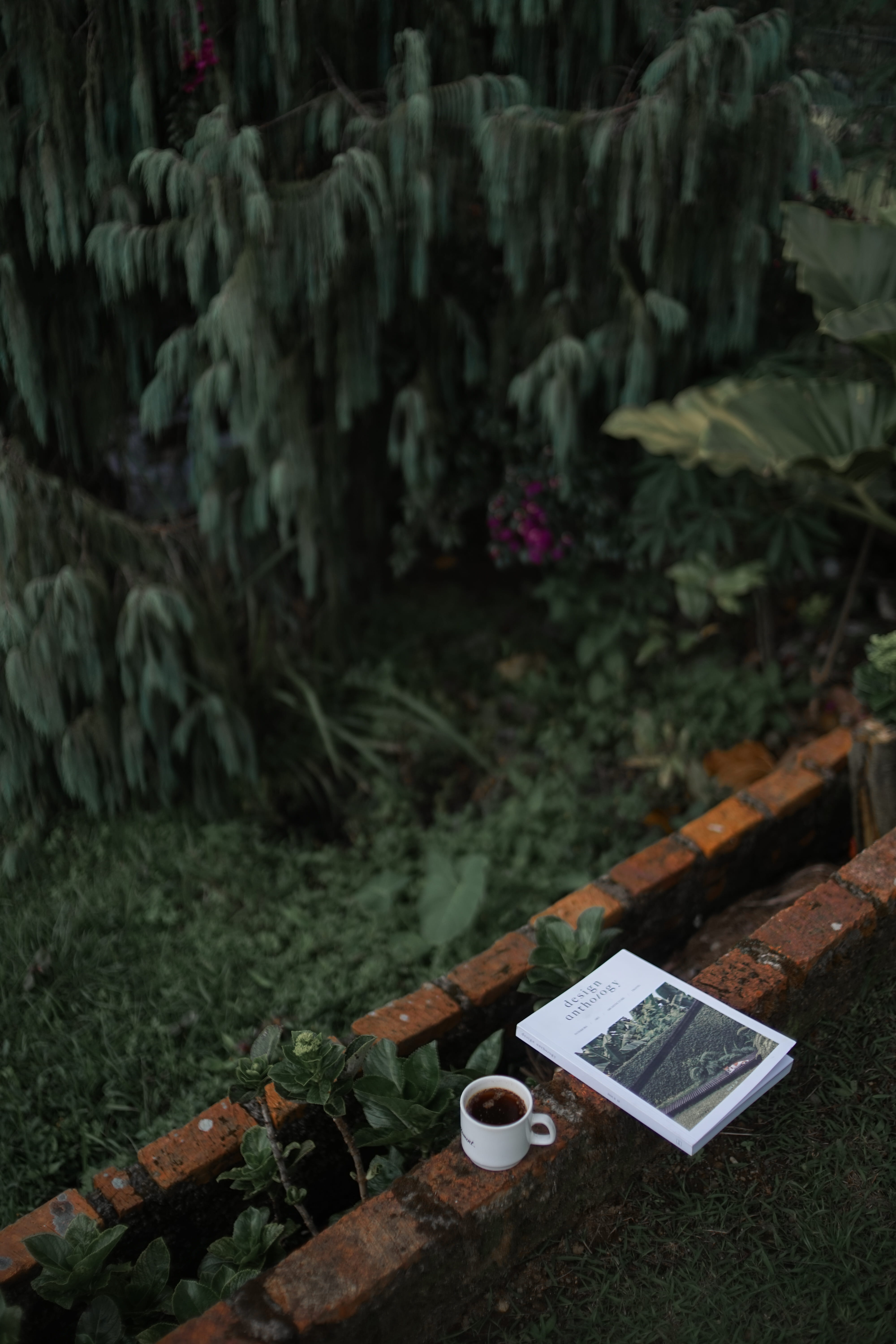 day, leaf, cup, forest, nature, text, religion, plaque, pottery, apparel, slate, land, clothing, white, tree, book, focus on foreground, no people, electronics, Phone HD Wallpaper