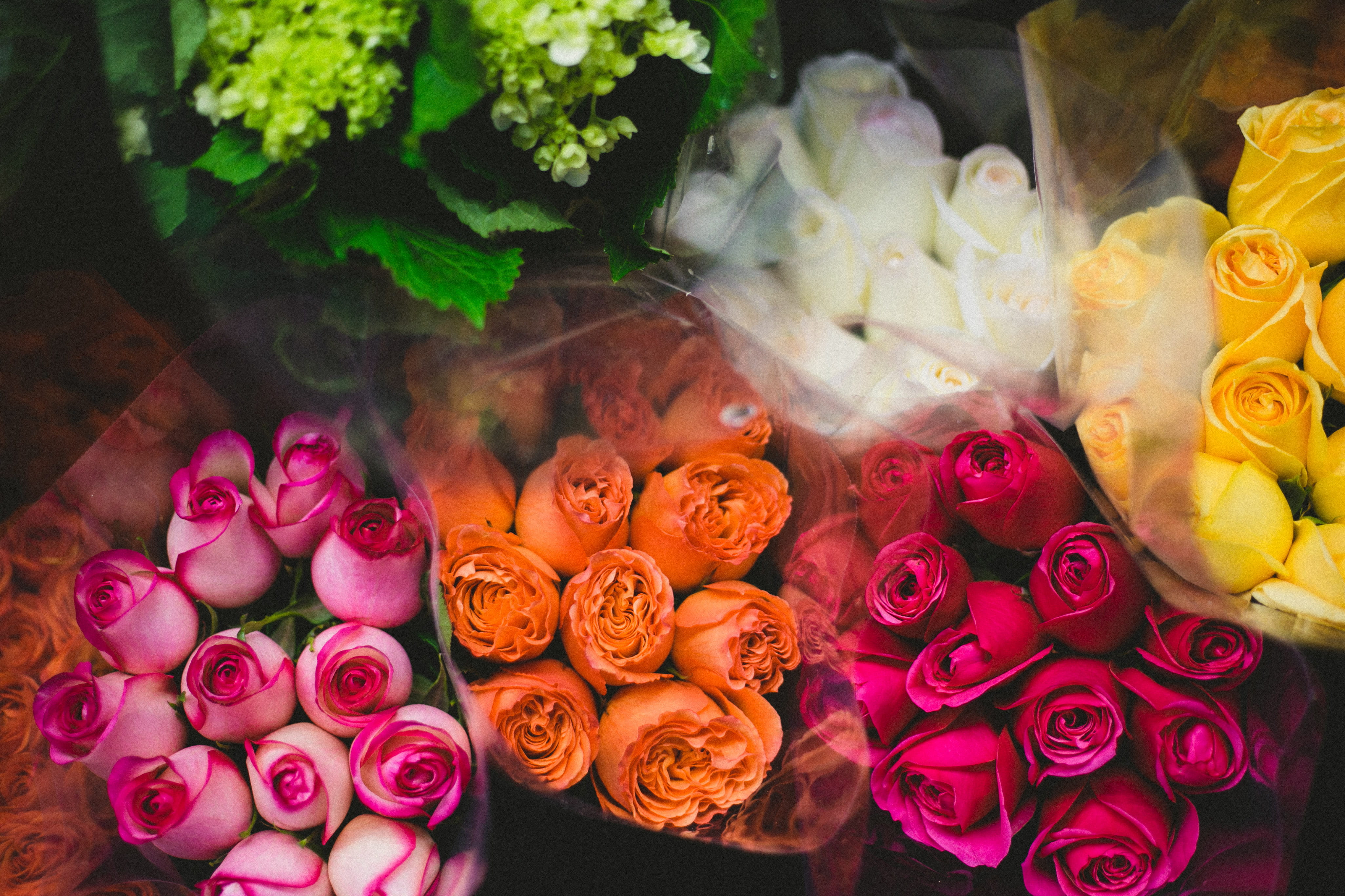 flower arrangement, pottery, large group of objects, new york, small business, human, lay, vase, upper west side, blossom, food and drink, bouquet, photography, HD Wallpaper