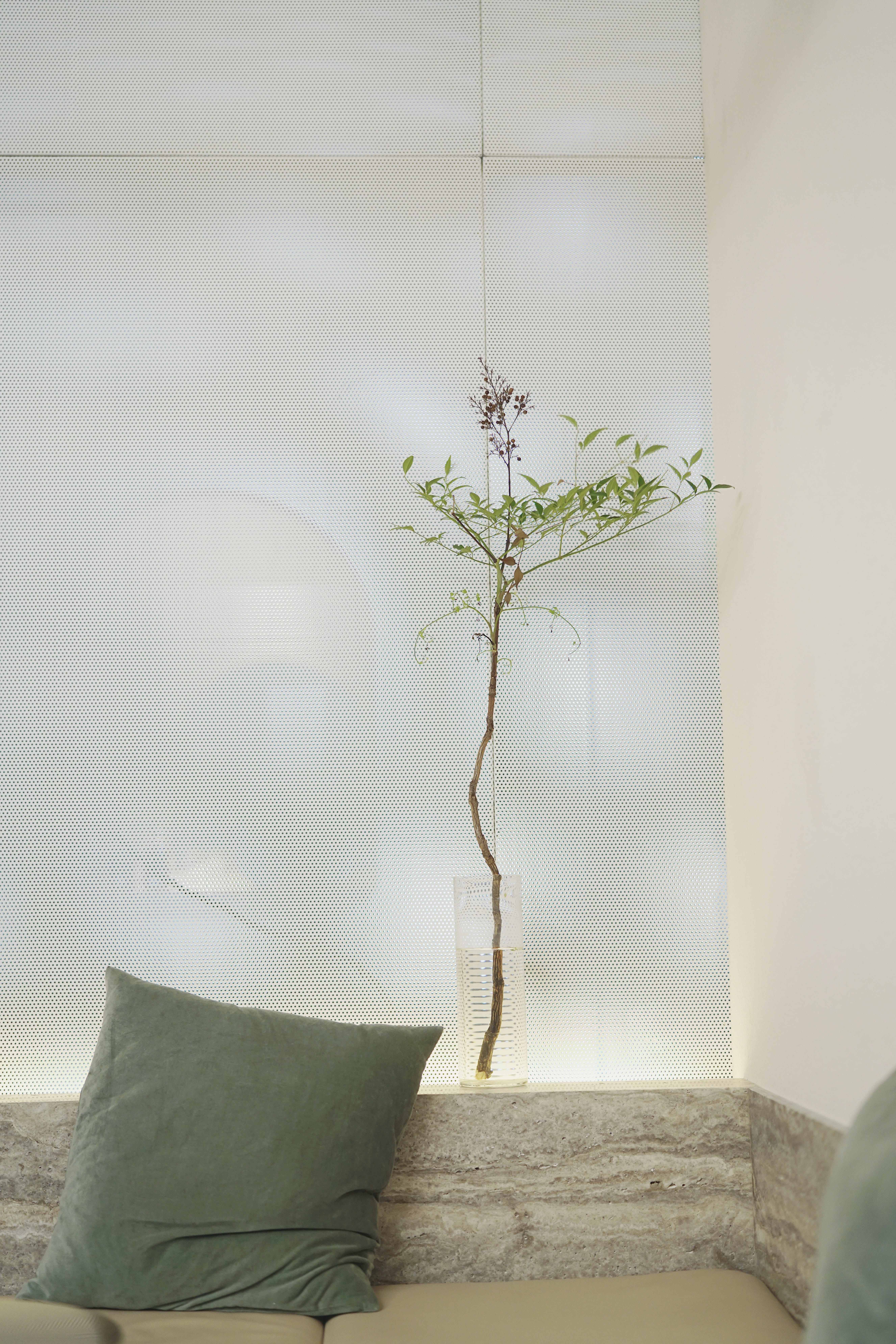 plant part, 8K, home decor, flower, pillow, close-up, white color, blossom, planter, linen, sunlight, home interior, indoors, vase, wall, leaf, inside, Phone HD Wallpaper