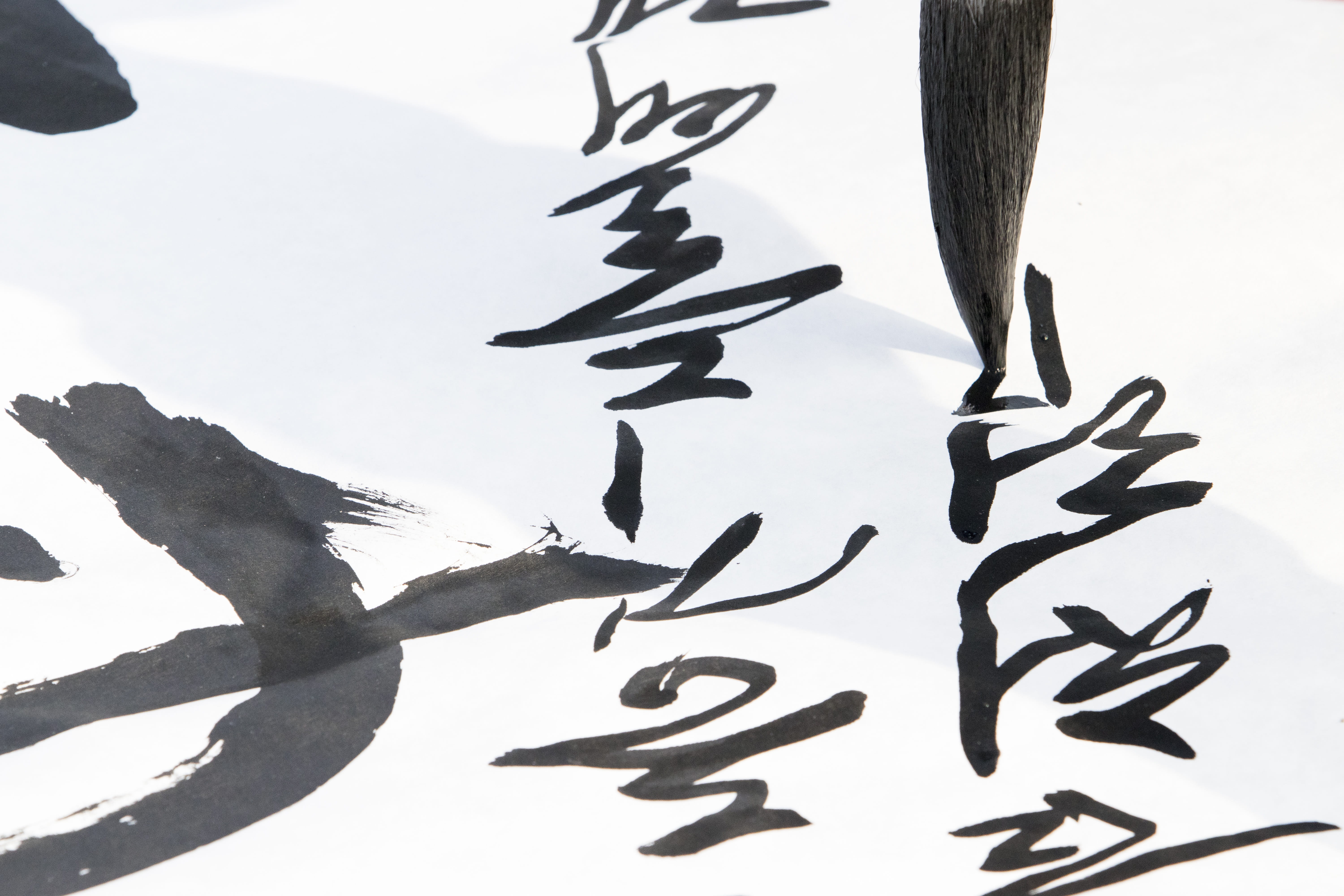 calligraphy, tree, calligrapher, han moon, republic of korea, ink, artist, letter, 5K, text, art and craft, nature, calligraphic, plant part, no people, HD Wallpaper