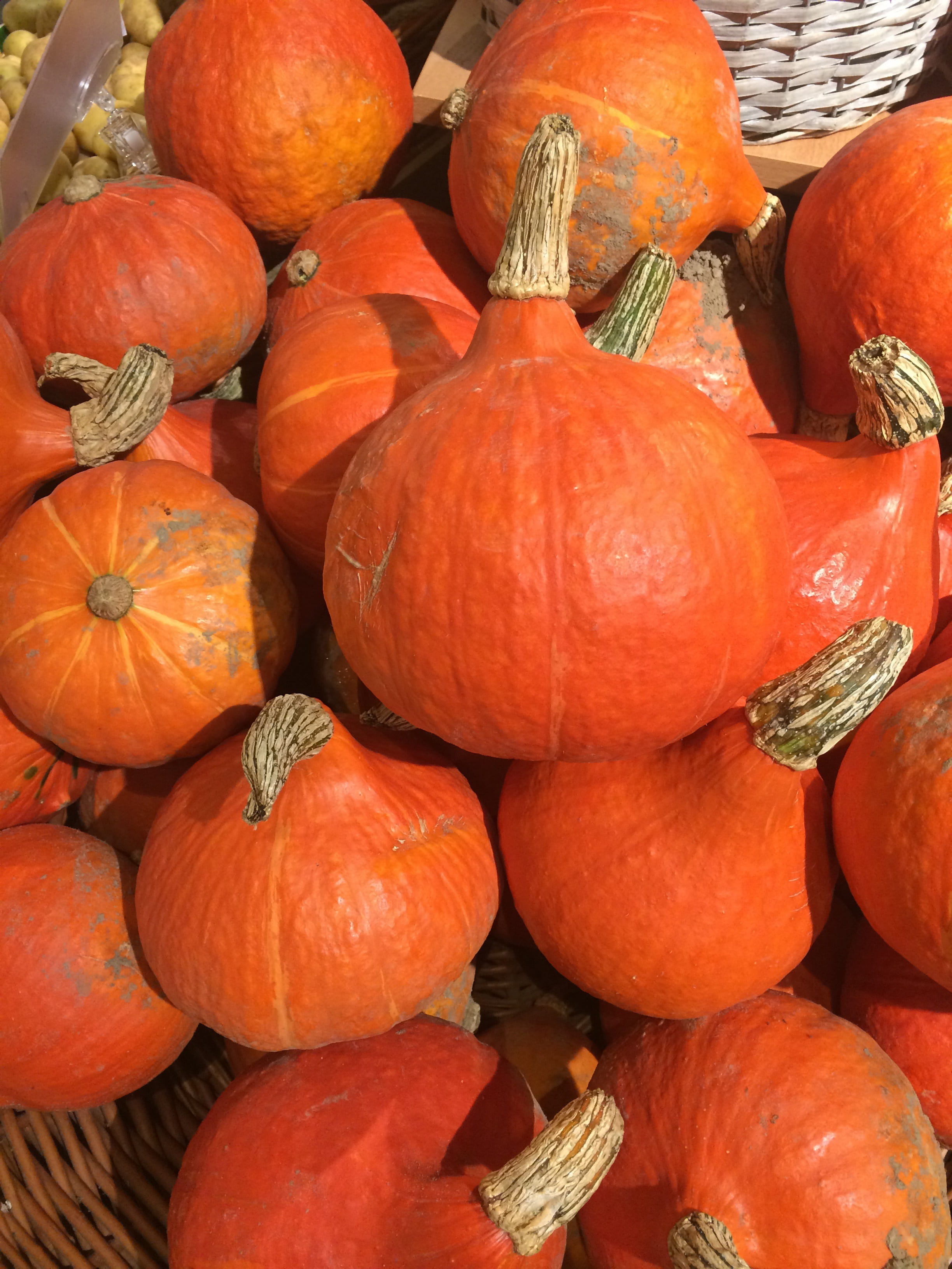 market, full frame, decoration, village, healthy eating, freshness, high angle view, fall, large group of objects, food, retail, still life, abundance, Phone HD Wallpaper