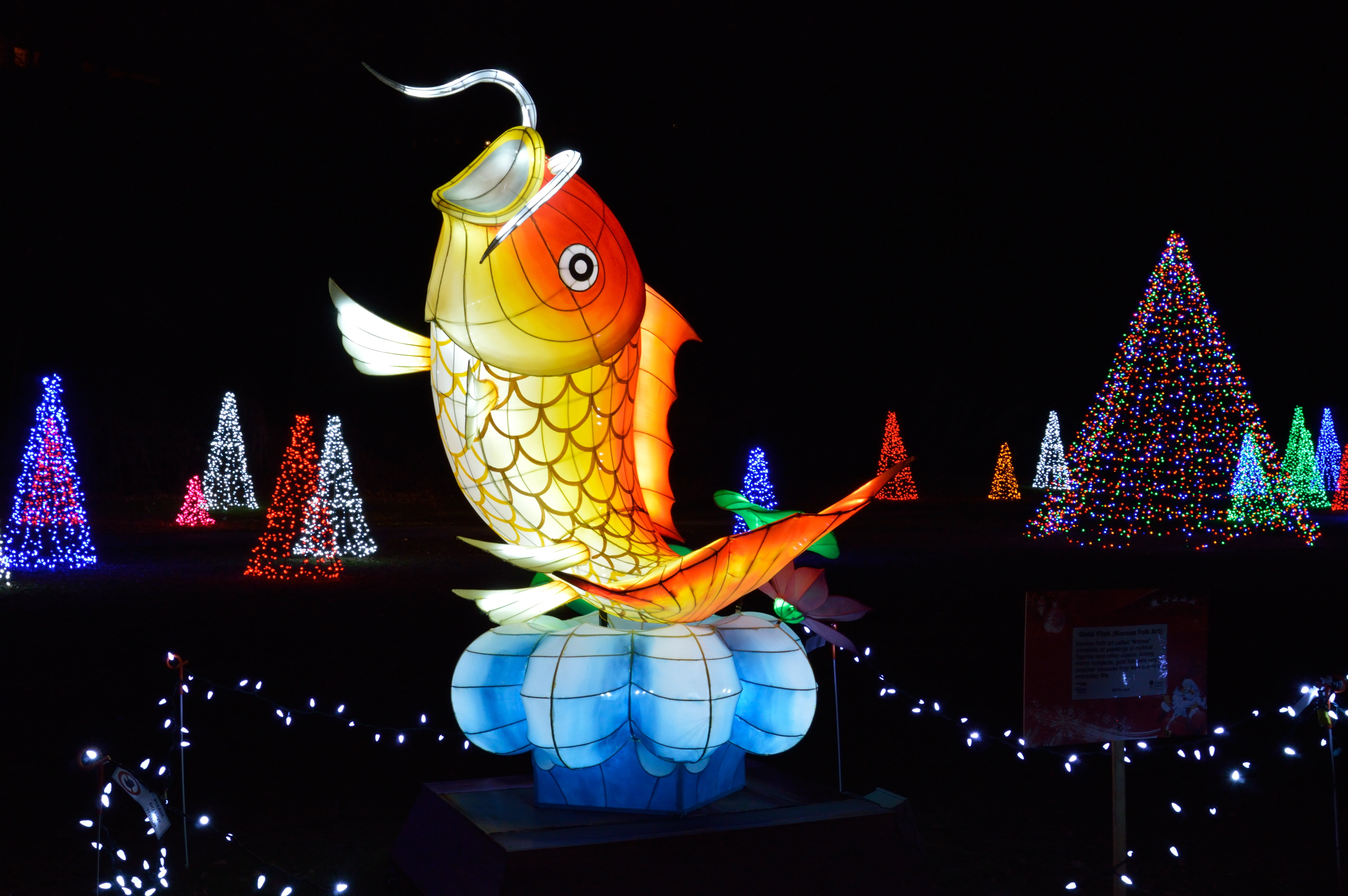 celebration, decoration, niagara falls, creativity, event, light, black background, architecture, animal representation, festive, fish, representation, HD Wallpaper