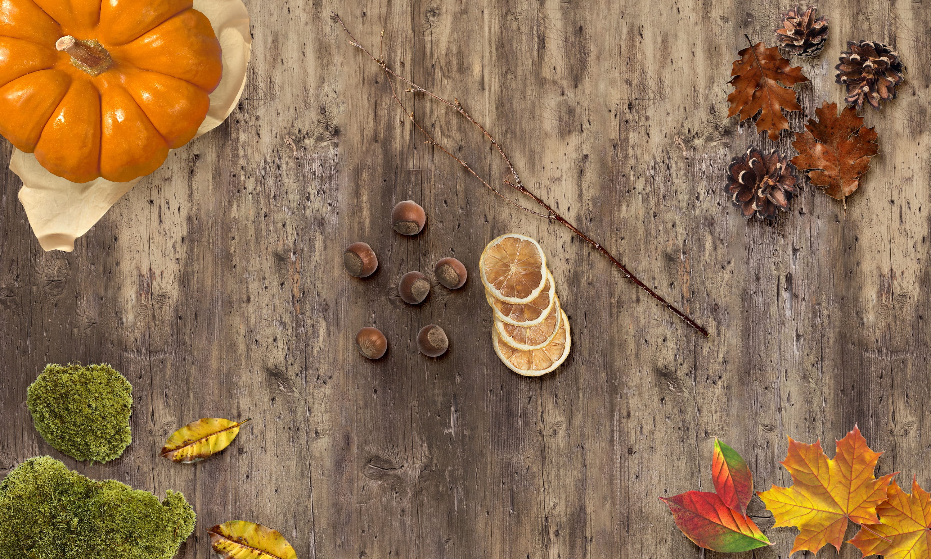 mood, food and drink, branch, thanksgiving background, twig, indoors, leaf, festive, pumpkin, fall, wood - material, moss, table, colorful, brown, 2K, HD Wallpaper