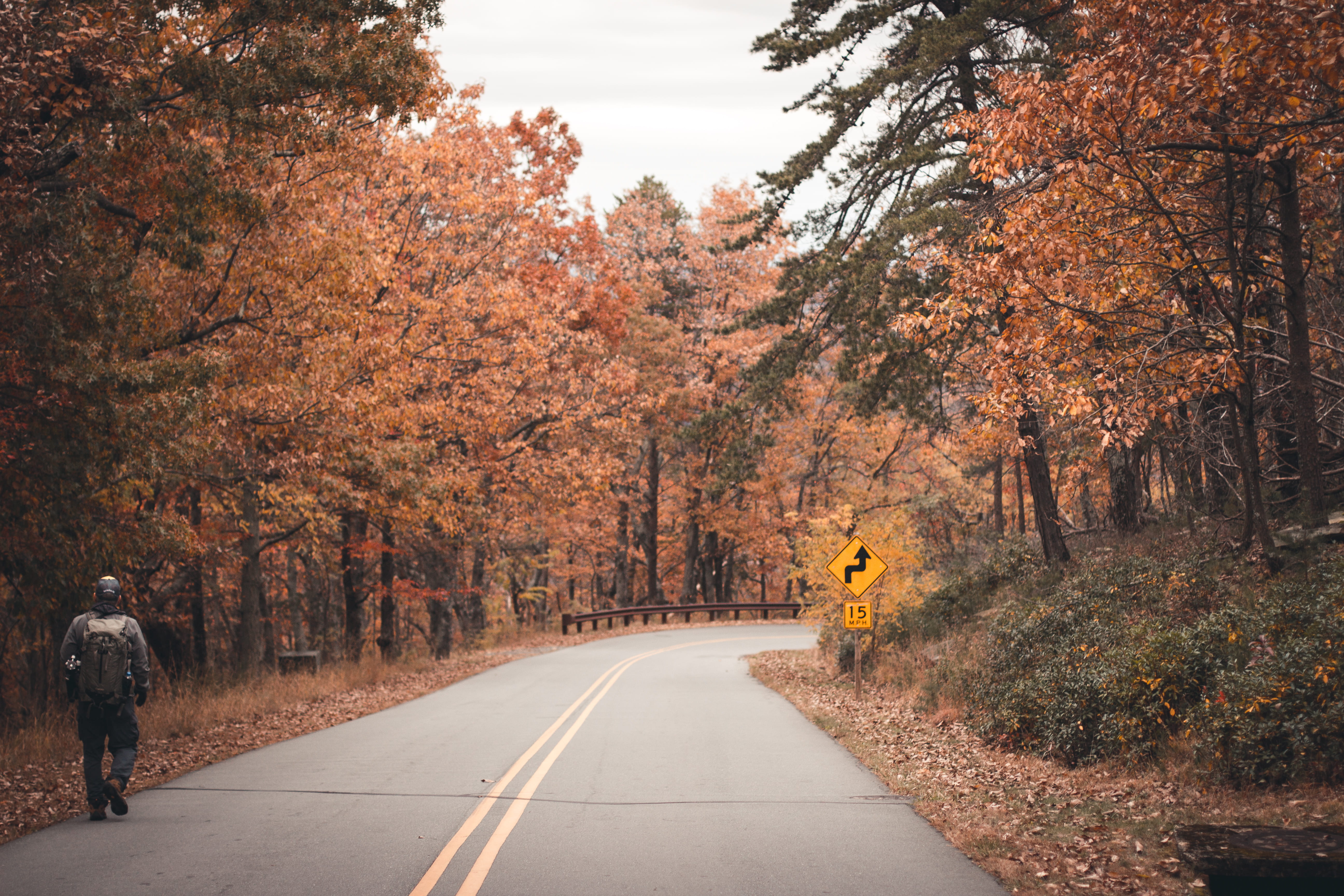 autumn, 5K, hike, festive, orange, city, transportation, hiking, pinnacle, season, outdoors, street, autumn collection, explore, growth, man, united states, HD Wallpaper
