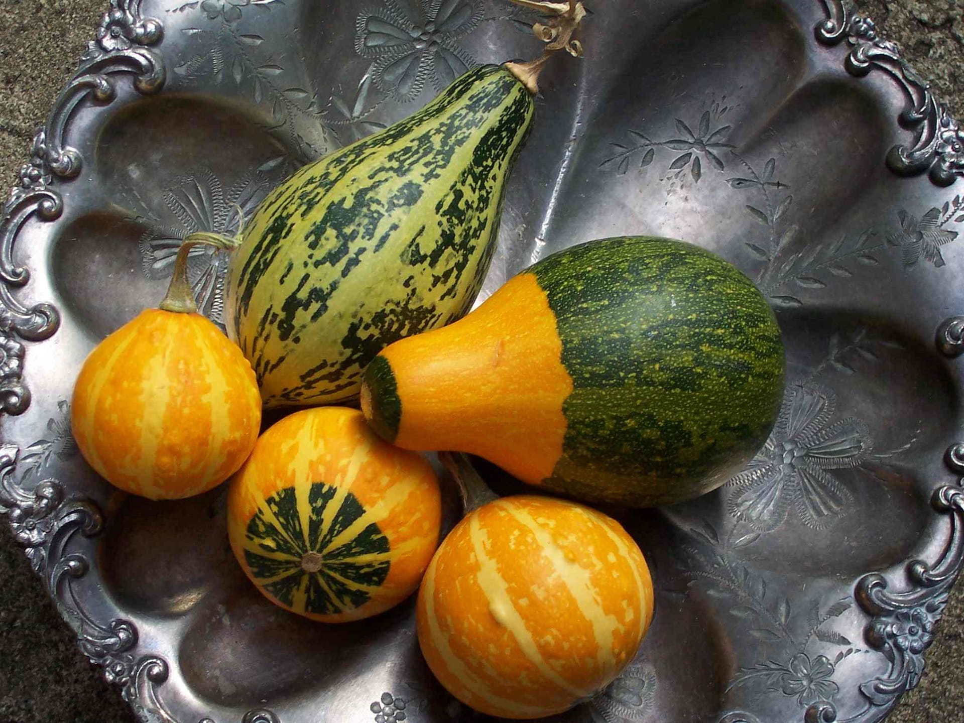 close-up, fall, indoors, food, white, orange color, autumn, harvest, agriculture, healthy Eating, Orange, festive, group, directly above, Gourds, yellow, HD Wallpaper