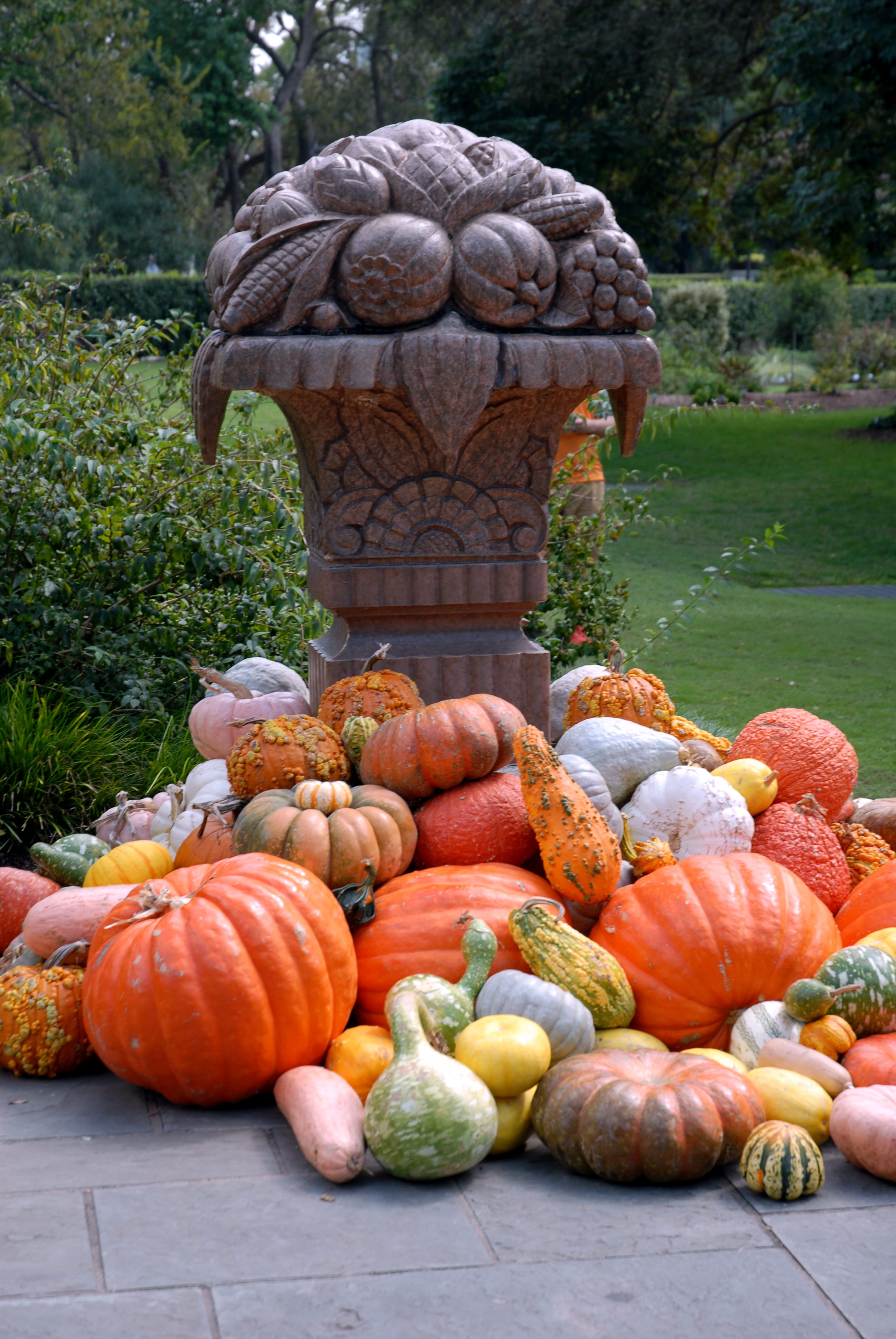 no people, halloween, healthy eating, mums, festive, large group of objects, wellbeing, october, seasonal, fall, harvest, thanksgiving, food and drink, Phone HD Wallpaper