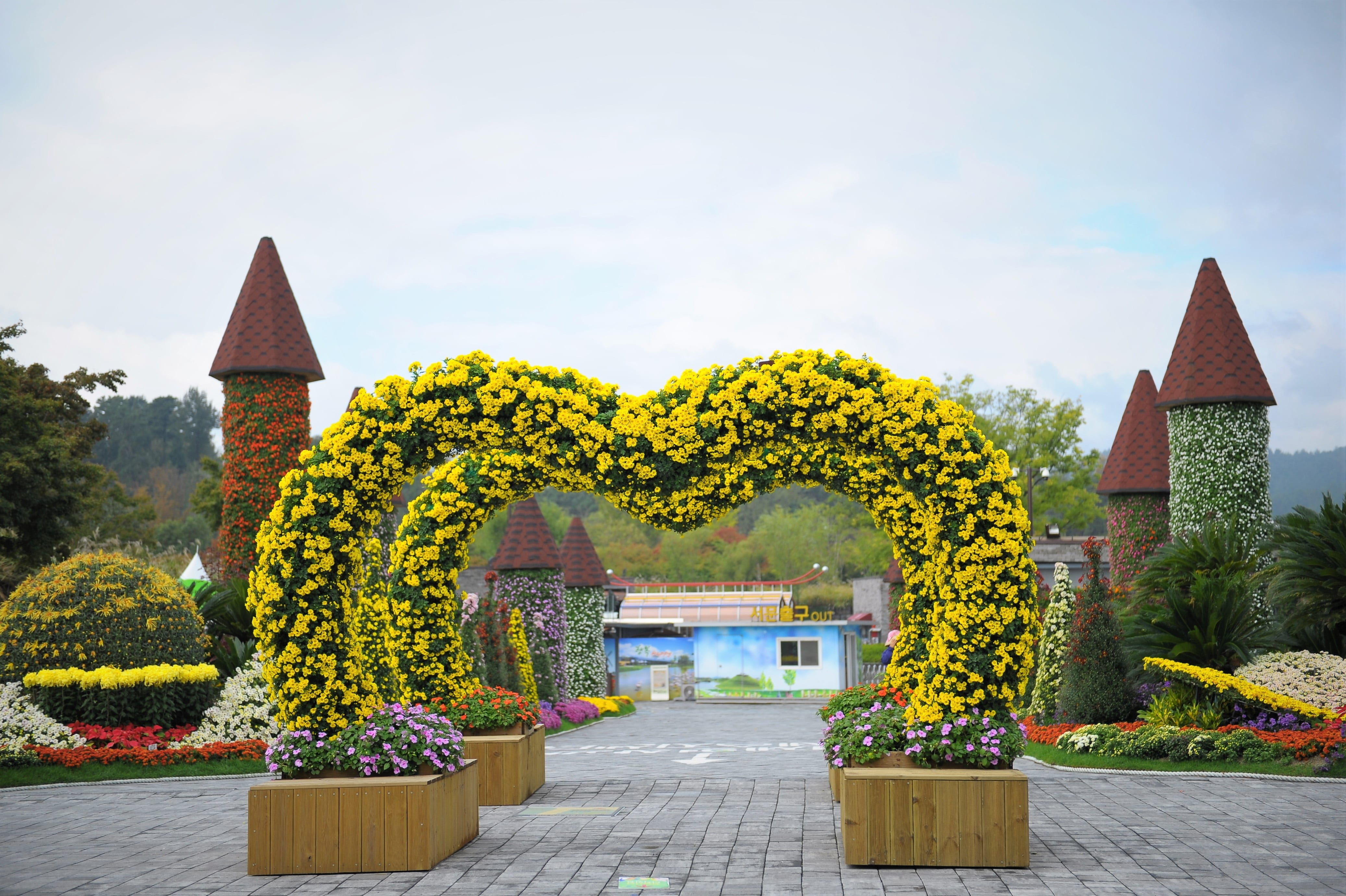 sky, sculpture, built structure, 4K, flower, chrysanthemum, tree, day, bush, ornamental garden, chrysanthemum flower, no people, place of worship, nature, HD Wallpaper