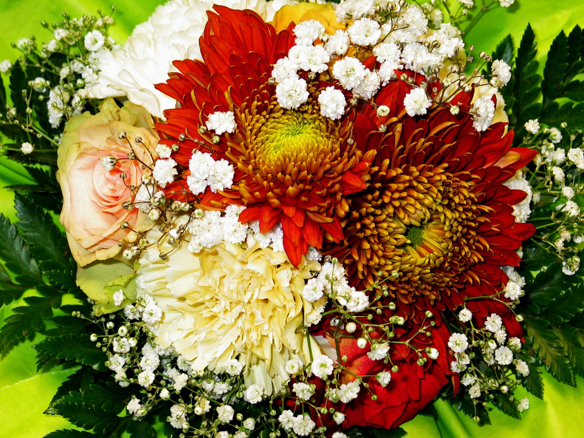 chrysanthemum bouquet, birthday card, romance, thank you, about love for mothers day, valentines day, beauty in nature, strauss, no people, connectedness, HD Wallpaper