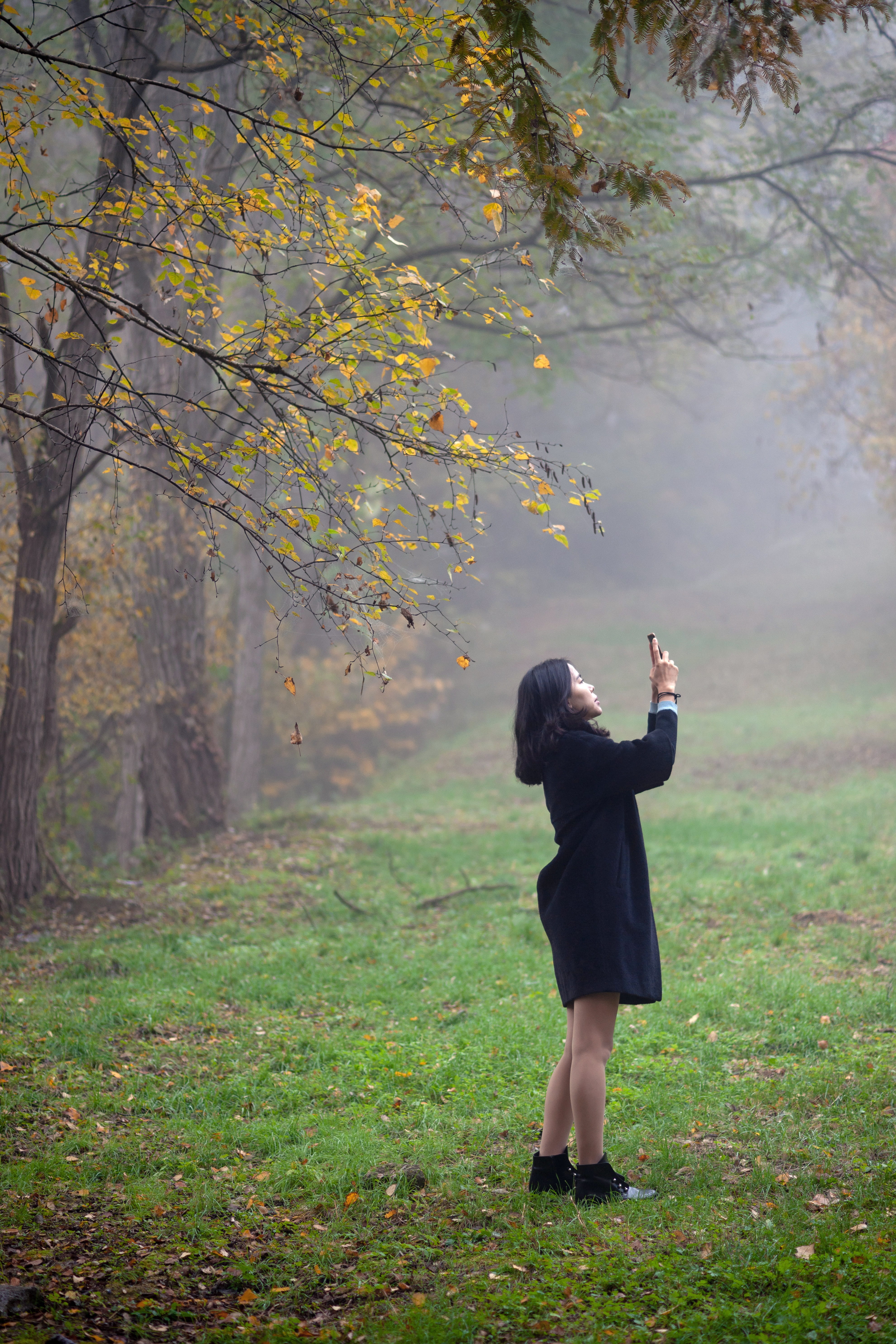 korea, photography by, leisure activity, native, photography, outdoors, one person, hairstyle, lifestyles, landscape, field, young adult, dating, autumn leaves, Phone HD Wallpaper