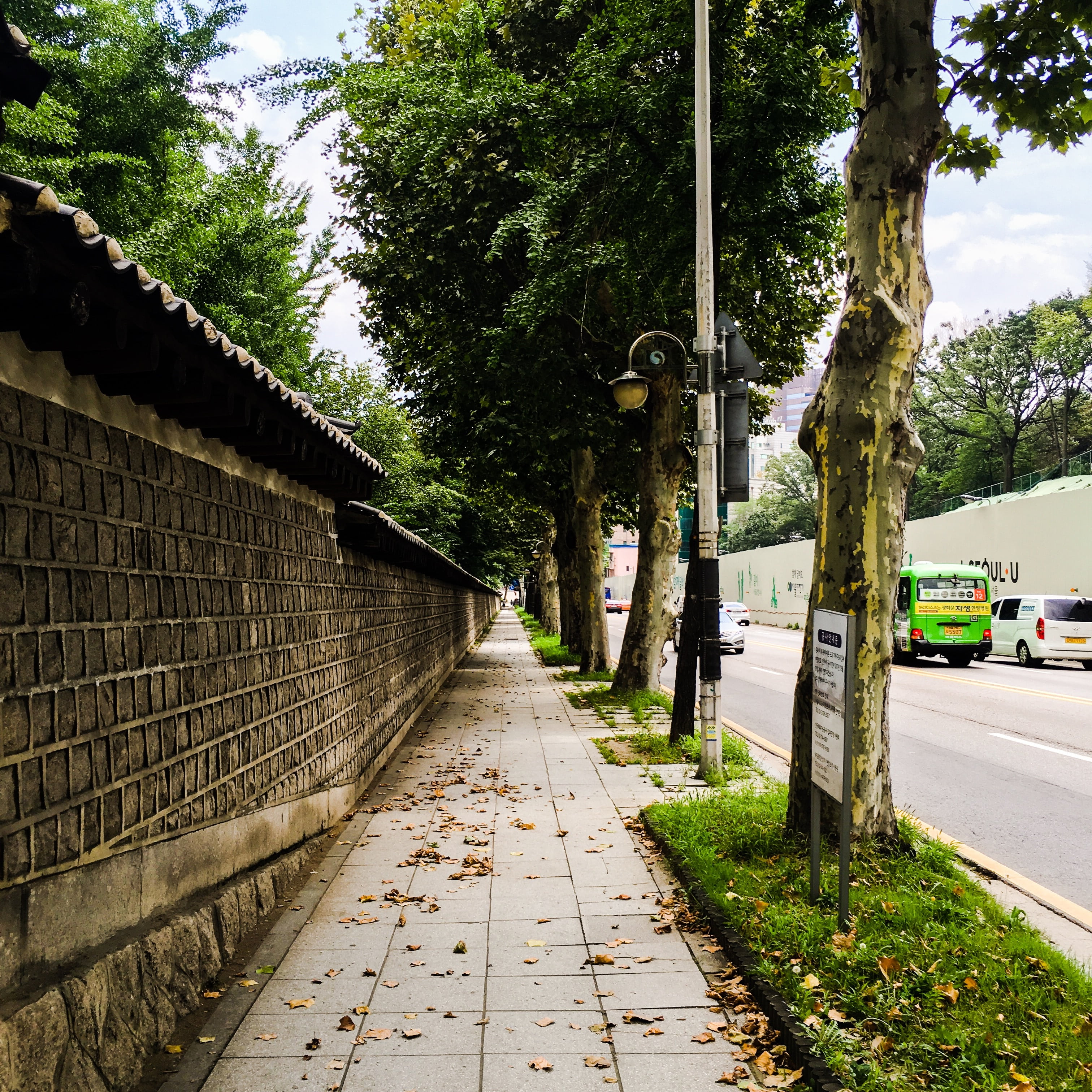 tree, no people, transportation, trunk, direction, city, 2K, the way forward, tree trunk, break, growth, building, street, road, gil, walk, architecture, Phone HD Wallpaper