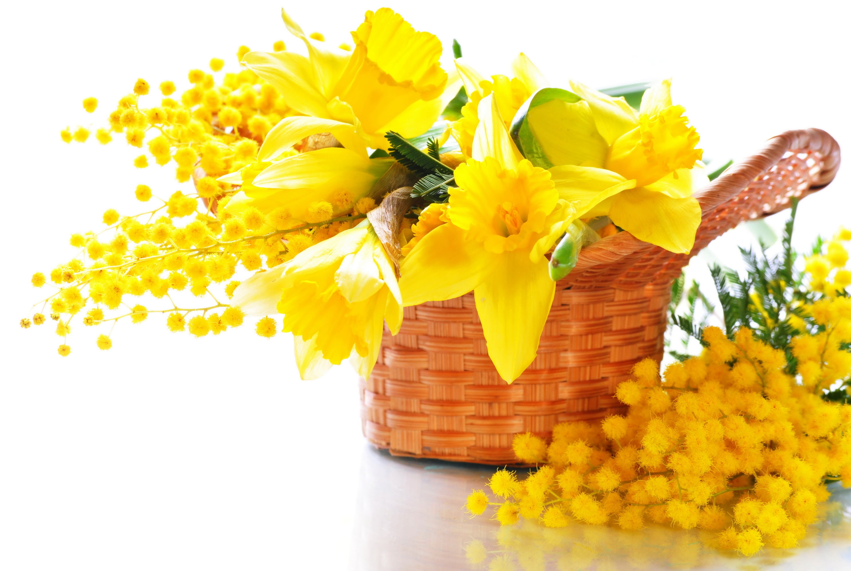 gift, plant, mimosa, summer, blossom, isolated, flowers, white background, petal, petaled, brown, flower Head, multi Colored, marigold, flower, bunch of flowers, HD Wallpaper