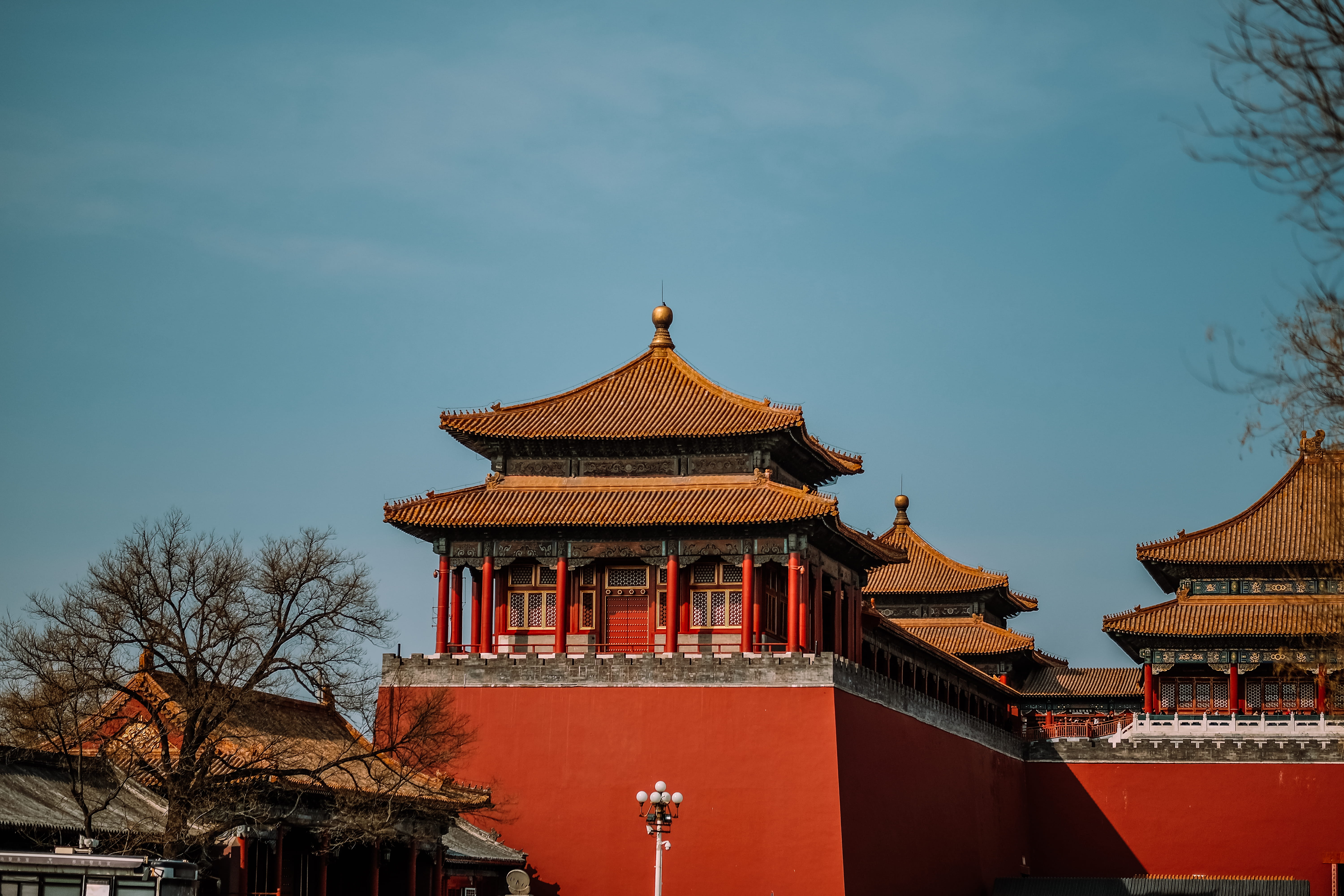low angle view, monastery, forbidden city, tree, roof, spirituality, eaves, urban, flagstone, housing, religion, day, sky, tower, place of worship, plant, HD Wallpaper