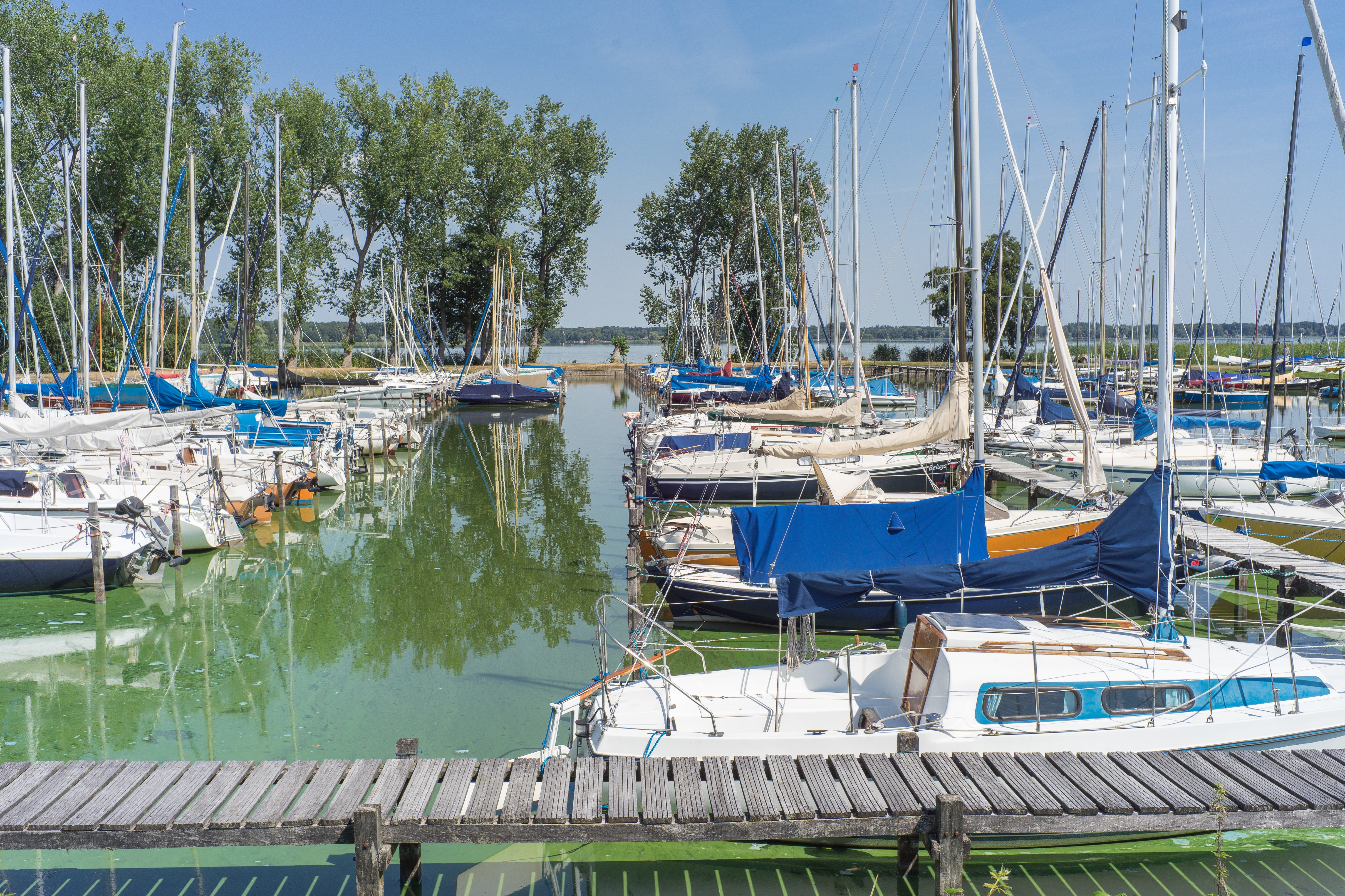 sailing boats, pole, tree, reflection, web, nautical vessel, port, blue, water, sky, ammerland, transportation, 5K, day, sailing boat, mast, harbor, mirroring, HD Wallpaper
