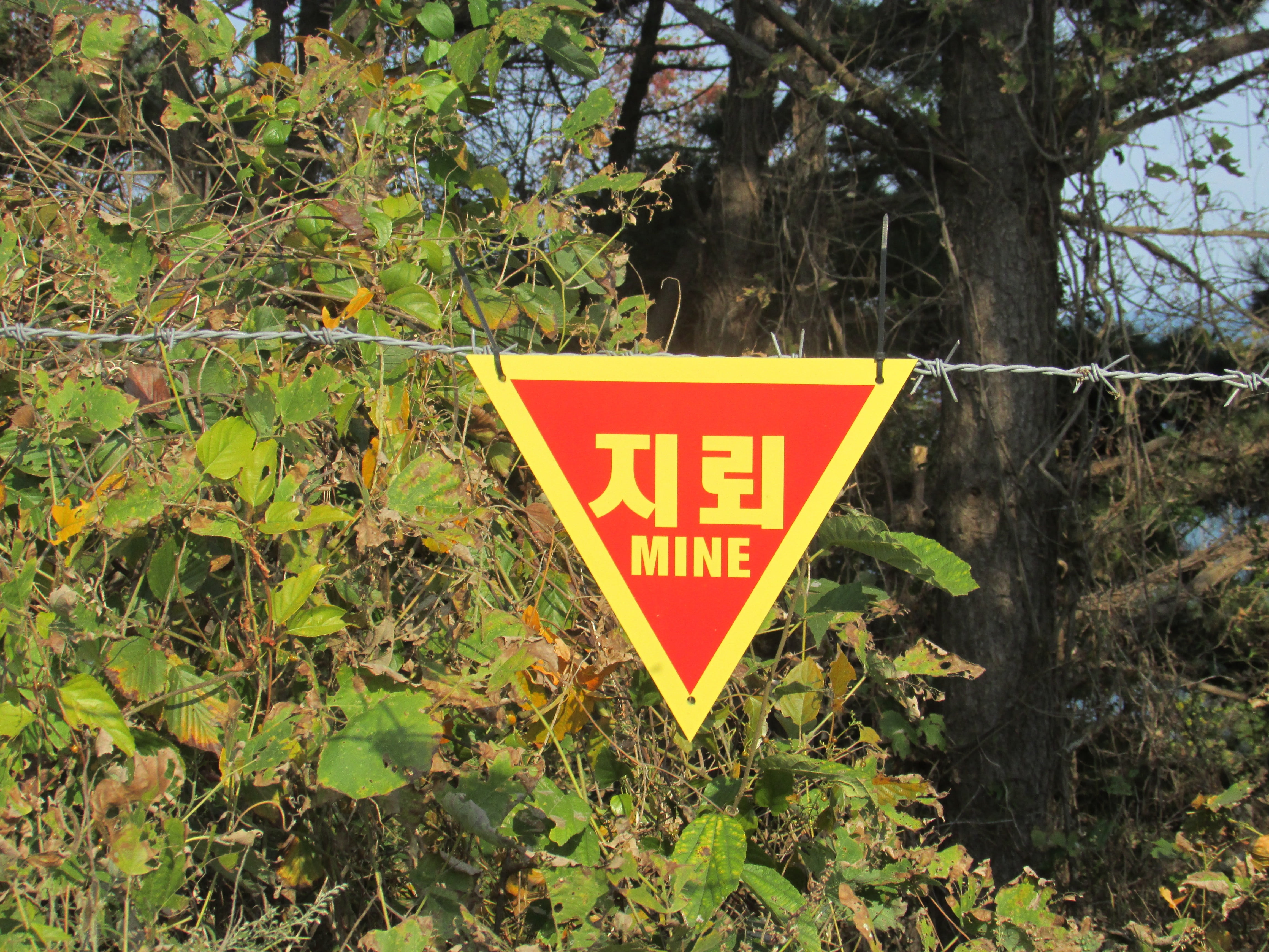 incheon, no people, warning Sign, green color, small global, day, yellow, west sea 5, war, communication, tree, signs, nature, forest, growth, guidance, HD Wallpaper