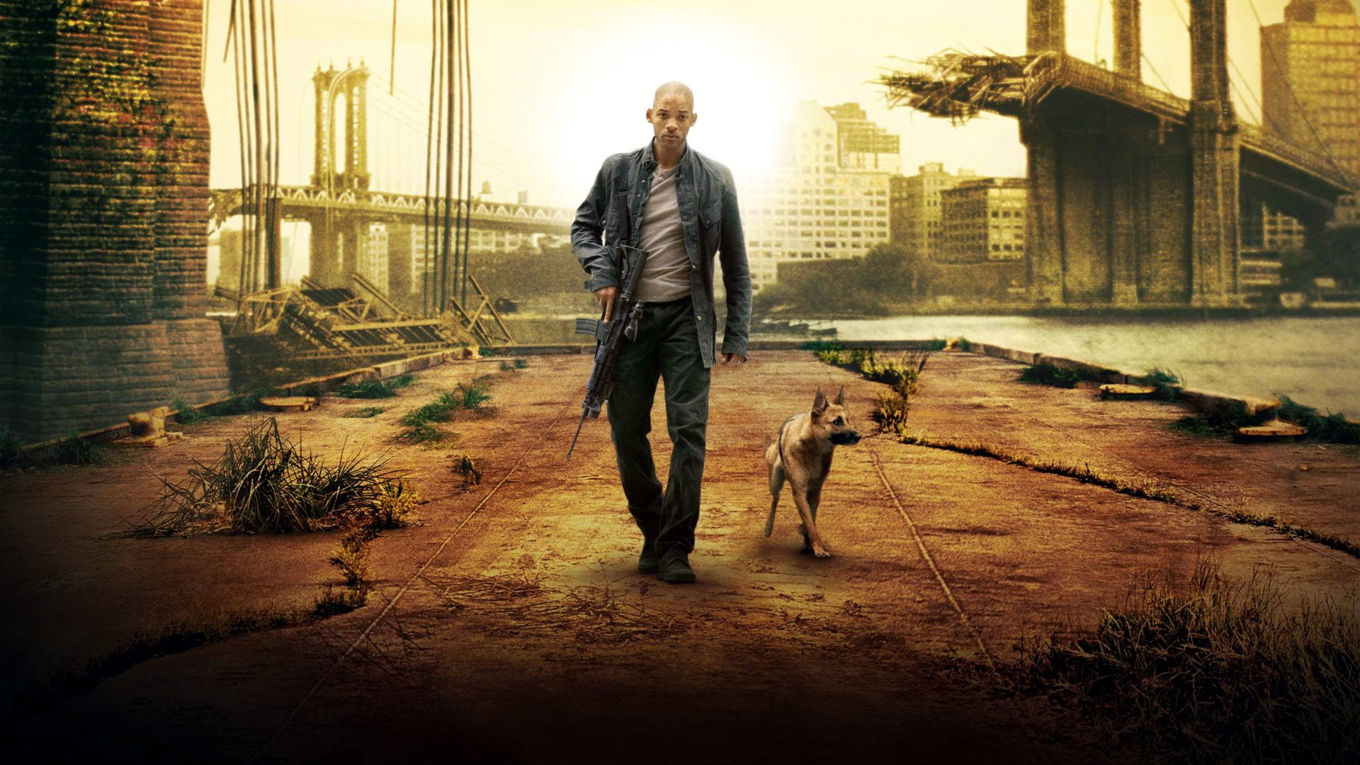 adult, Movie, I Am Legend, one person, dog, lifestyles, city, pets, architecture, real people, casual clothing, canine, domestic, one animal, pet owner, HD Wallpaper