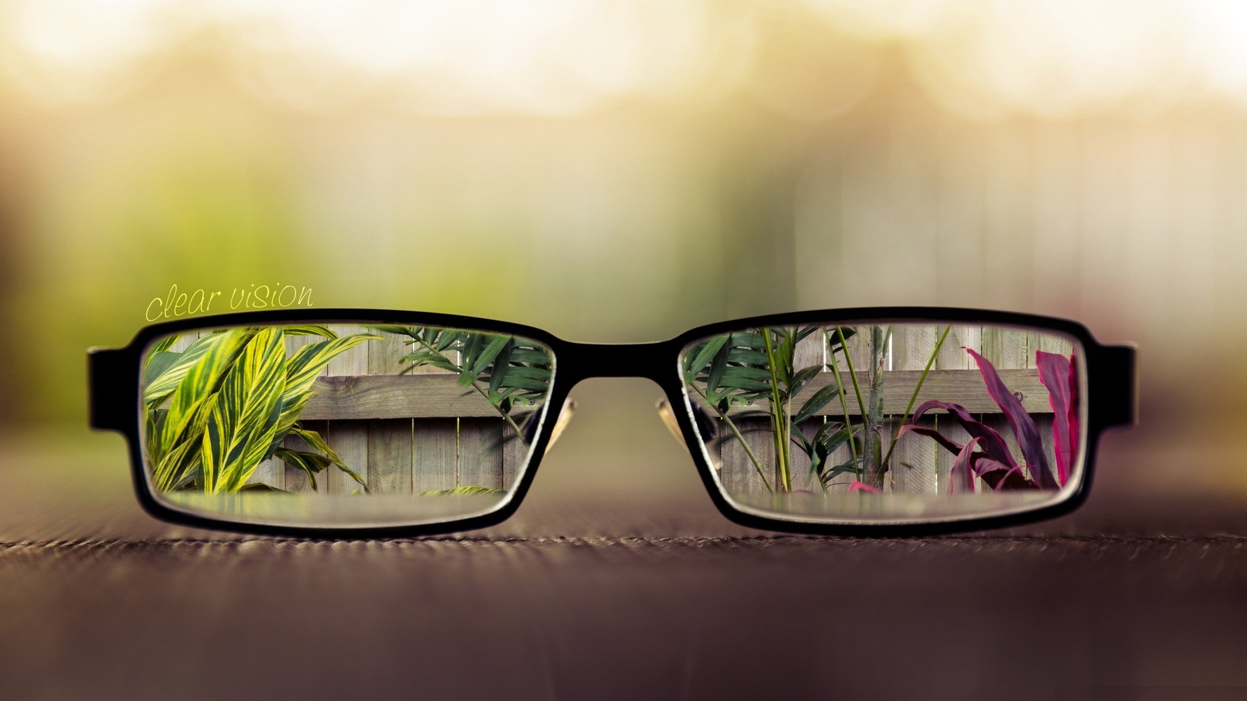 focus, x, artistic, hd, Flowers, glasses, nature, 2K, clear, art, vision, focused, HD Wallpaper