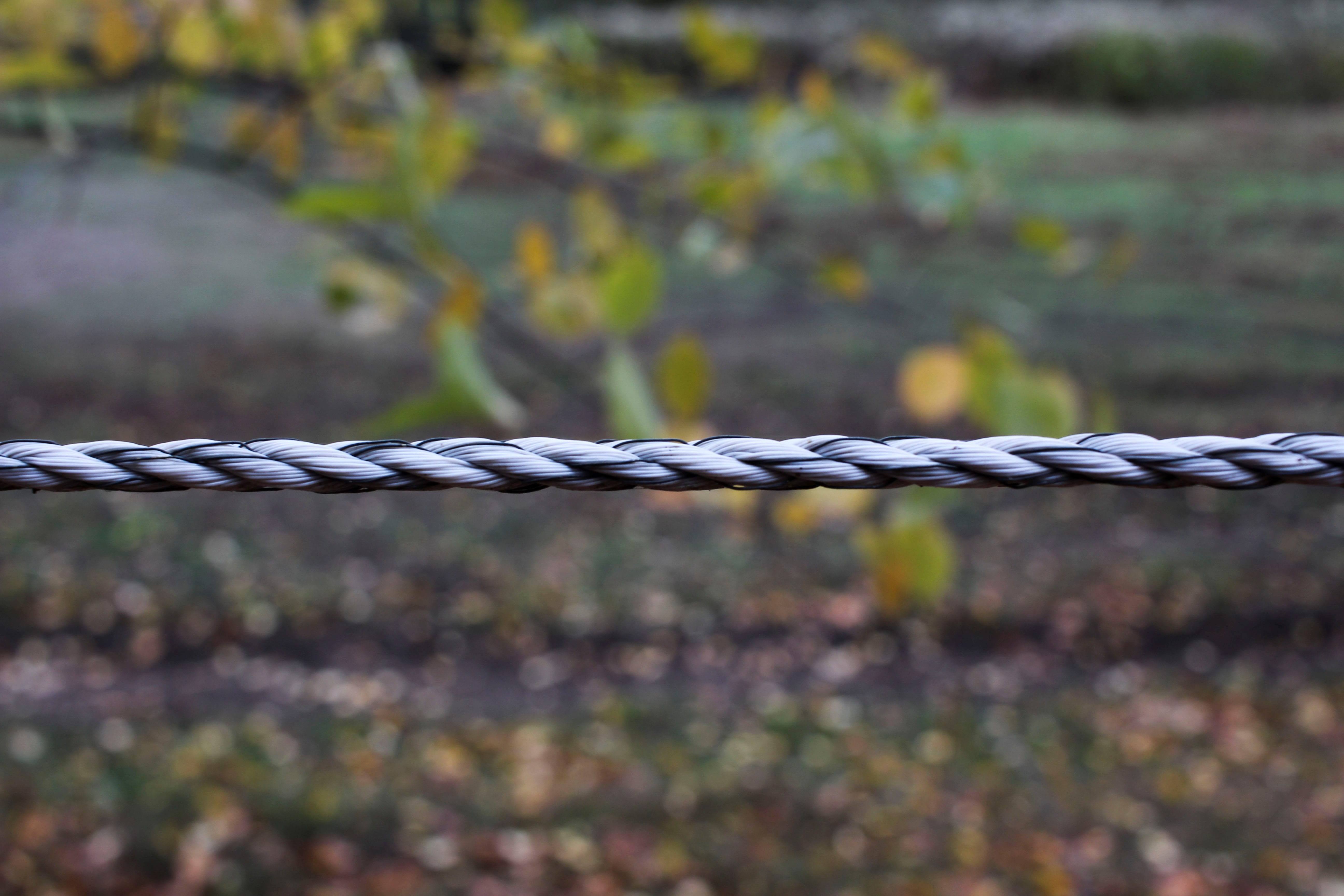 5K, selective focus, pattern, wire, connection, focus on foreground, day, rope, no people, fence, close-up, close up, environment, autumn, power fence, HD Wallpaper