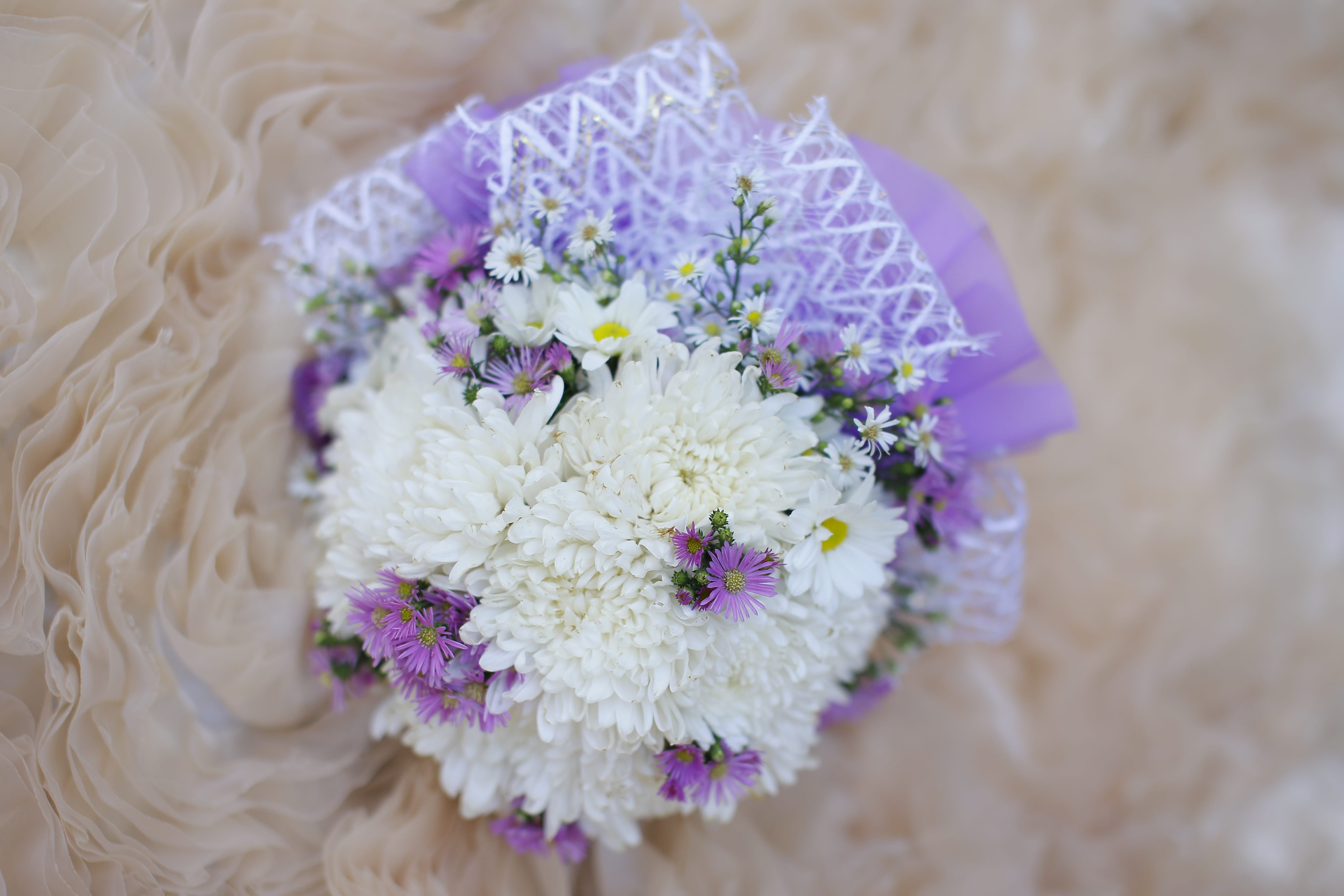 summer, fragility, high angle view, color, petal, vulnerability, spring, growth, yellow, selective focus, indoors, rose, white, bouquet, flower arrangement, HD Wallpaper