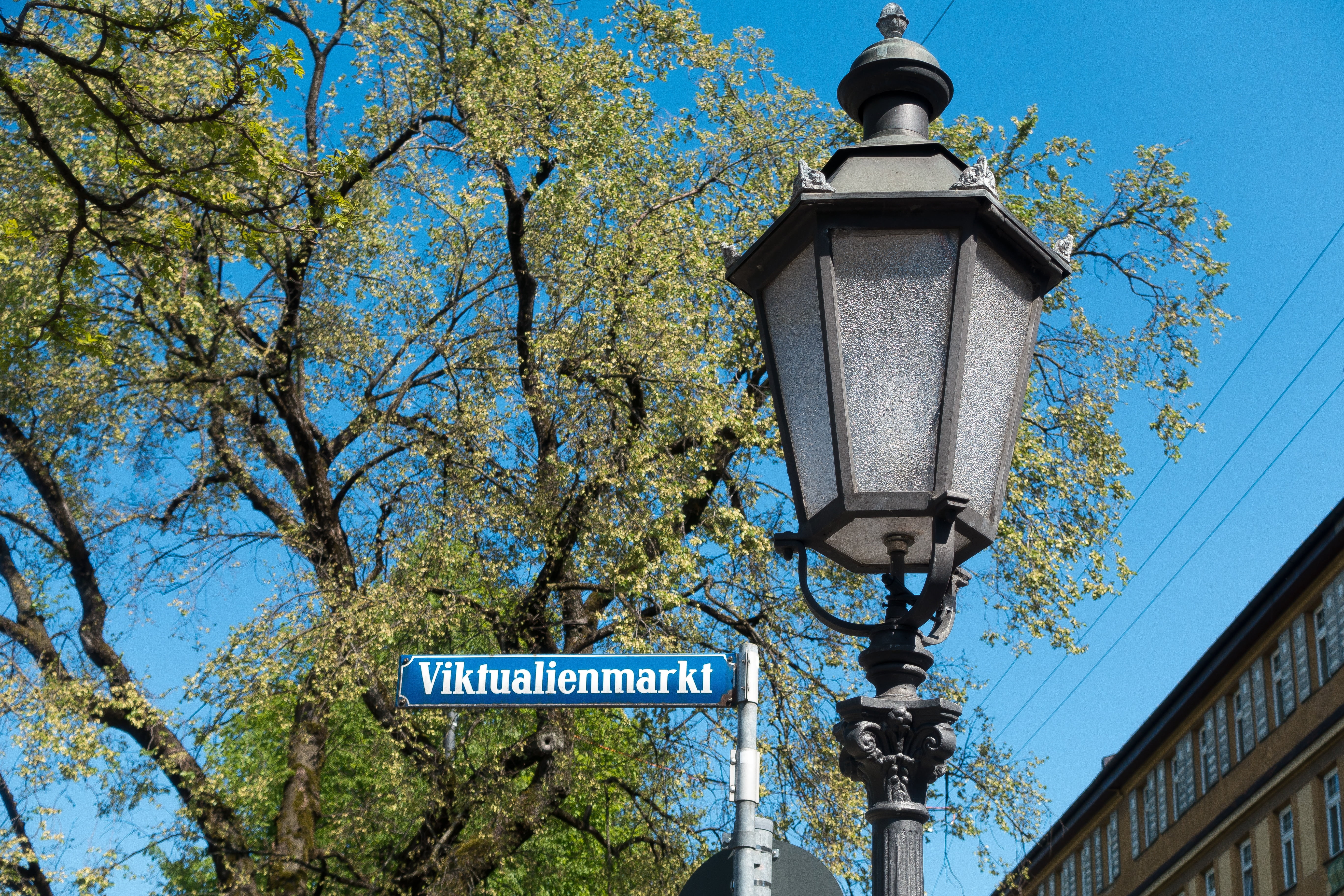 outdoors, tree, day, sign, shield, space, market, downtown, building exterior, road, bavaria, photo, street name, signage, daytime, text, 5K, communication, HD Wallpaper