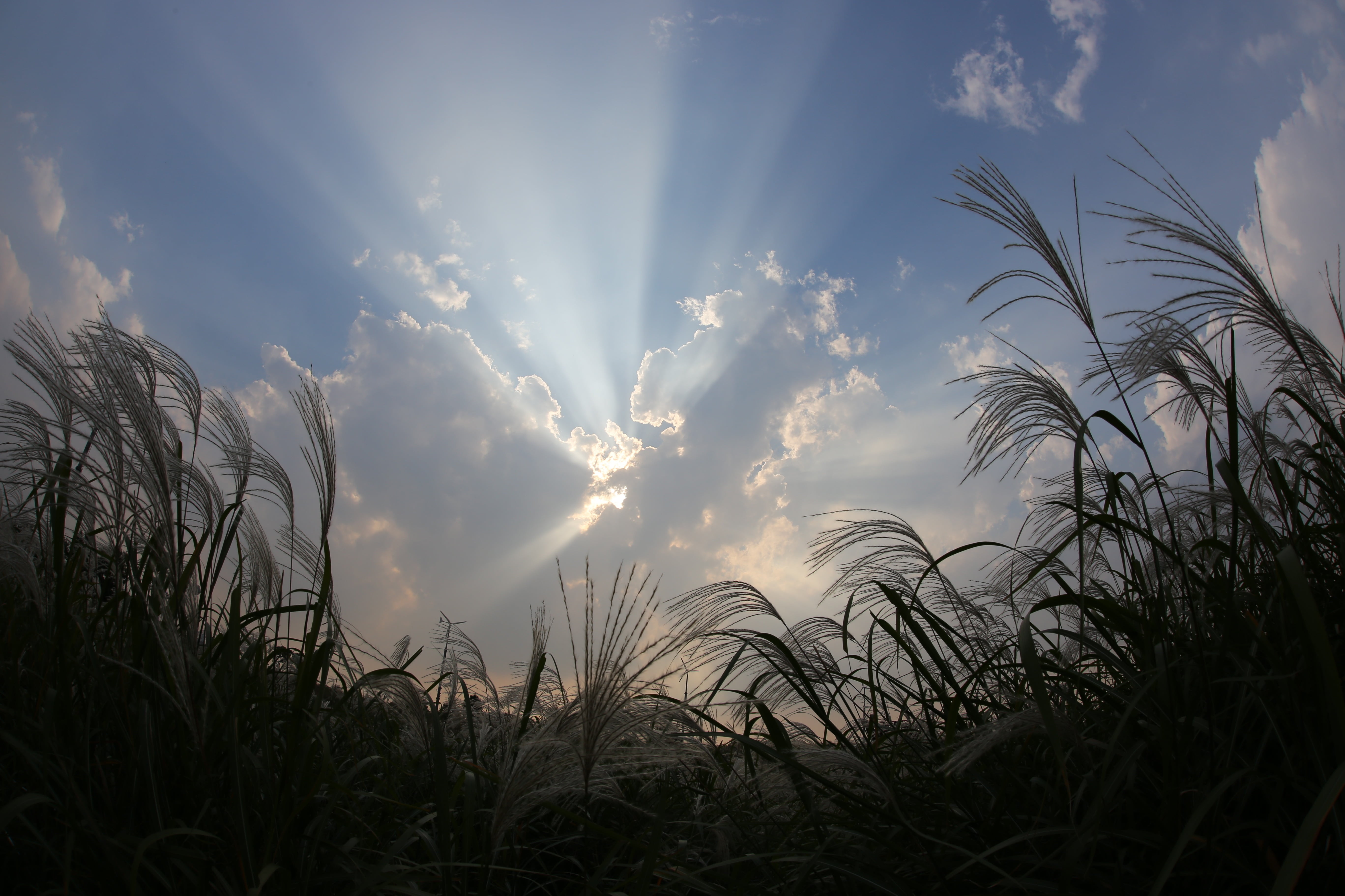 day, tranquility, sky, field, silver pool, outdoors, tranquil scene, land, autumn, sunset, silver grass, sunlight, lens flare, timothy grass, light, nature, HD Wallpaper