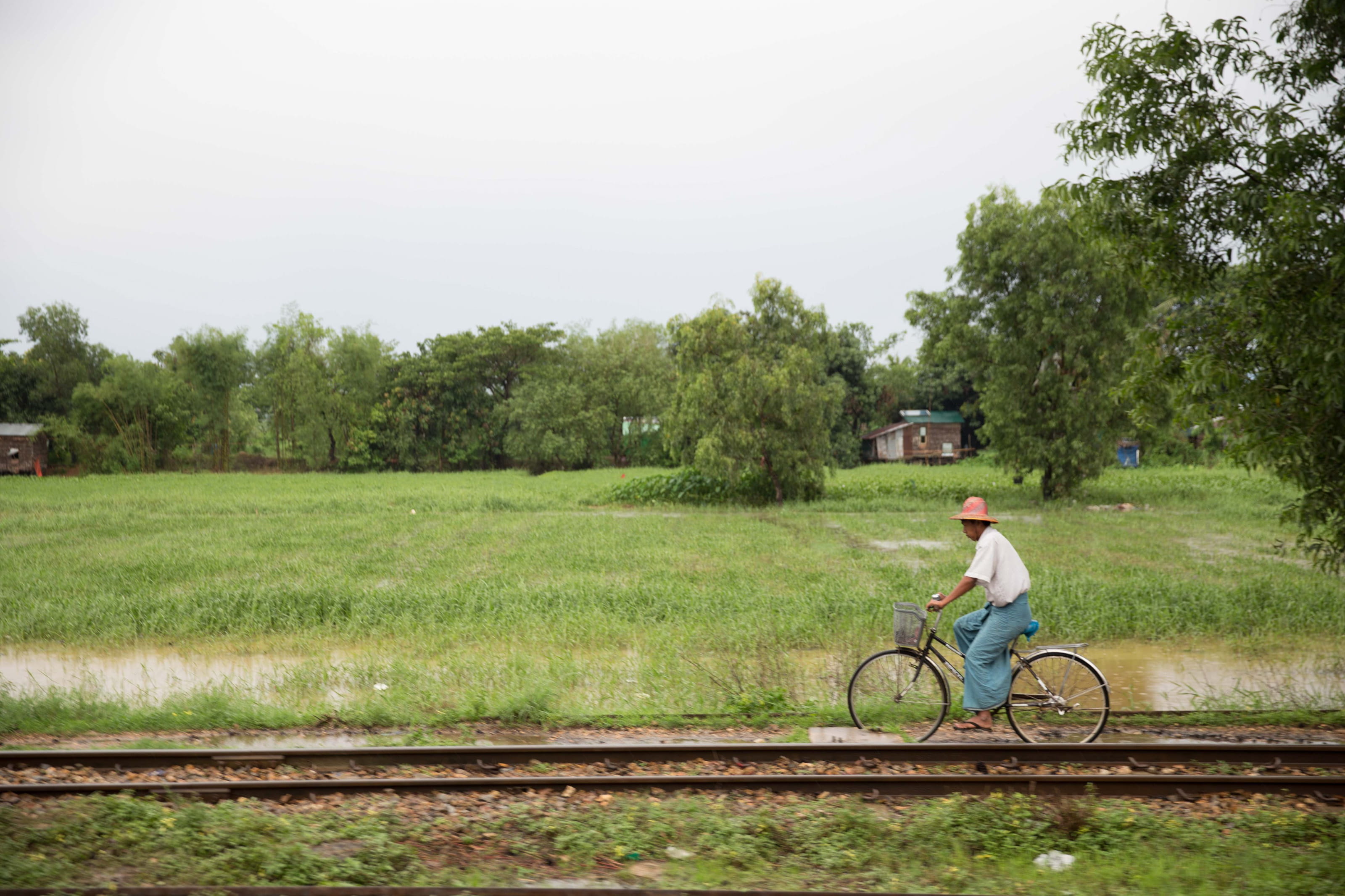 one person, track, 2K, landscape, meadow, tree, side view, man, grass, straw hat, land, bicycle, paddy field, outdoor, summer, casual clothing, biking, HD Wallpaper