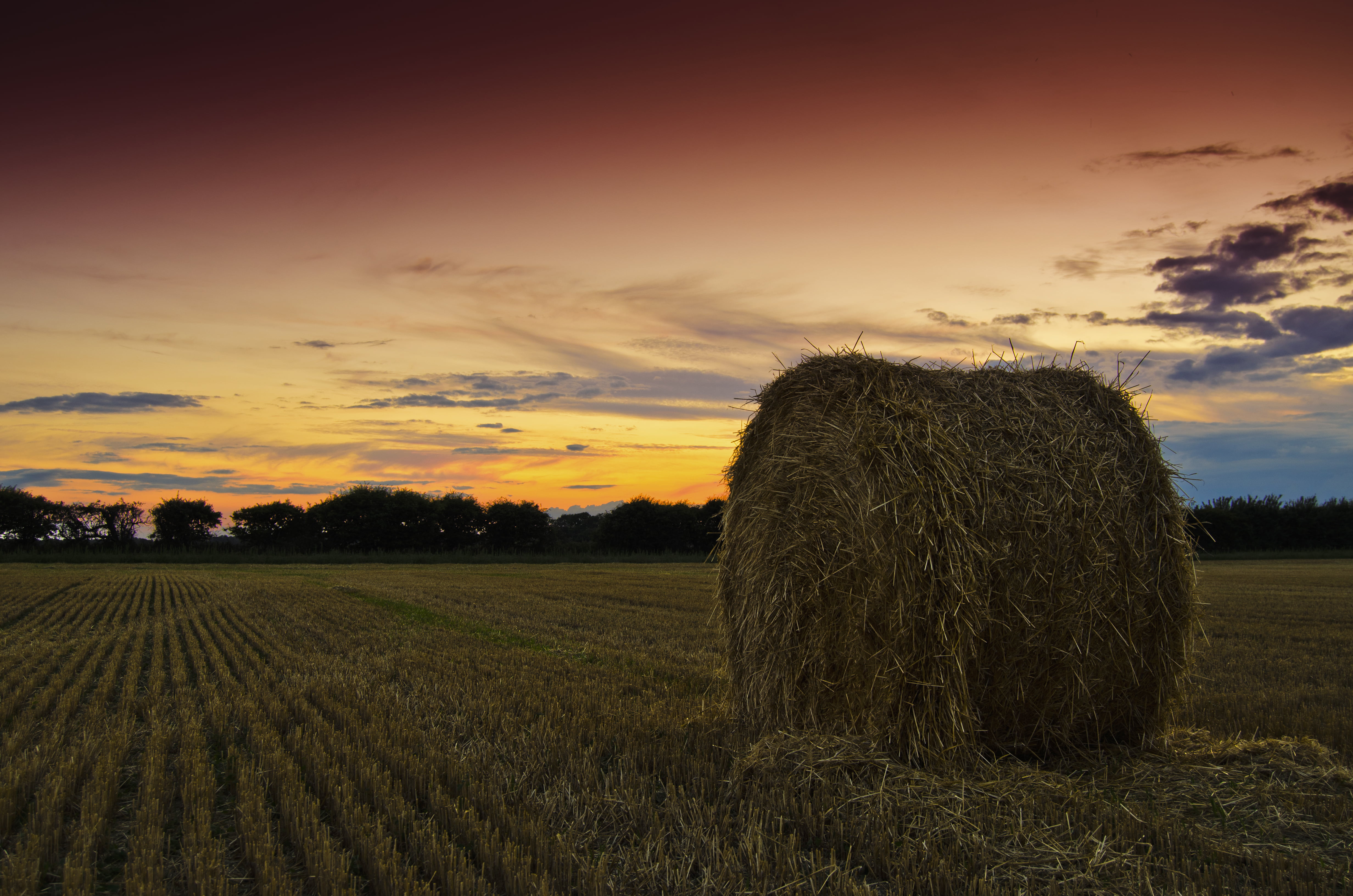 wheat, landscape, harvest, crop, straw, rice, outdoors, harvesting, photo, 4K, field, bale, dusk, rice field, landscaped, rural Scene, hay, nature, sky, HD Wallpaper