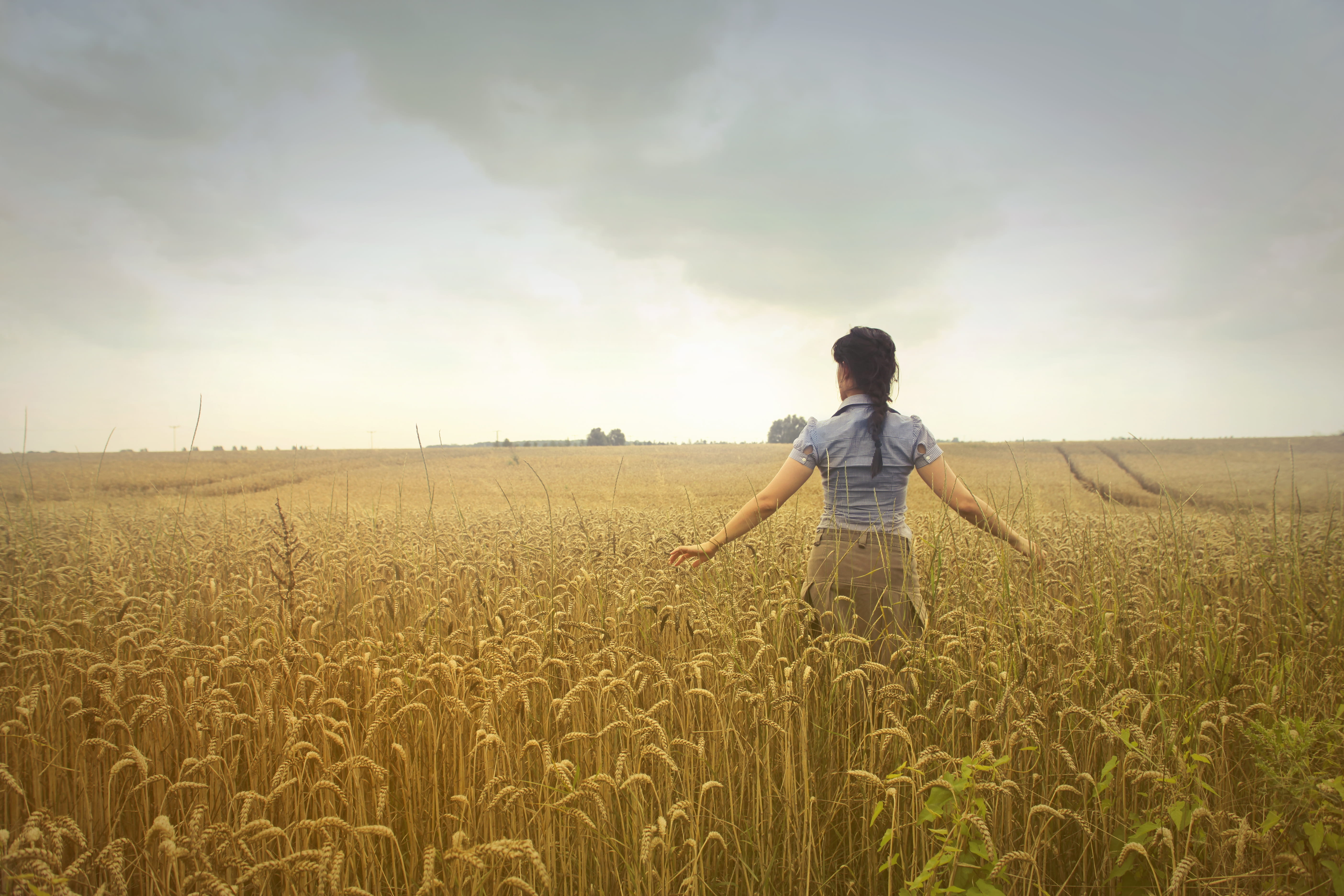 colors, cereal plant, one person, daylight, rice fields, fashion, seeds, farm, sky, rural, agriculture, tranquil scene, environment, day, nature, woman, HD Wallpaper