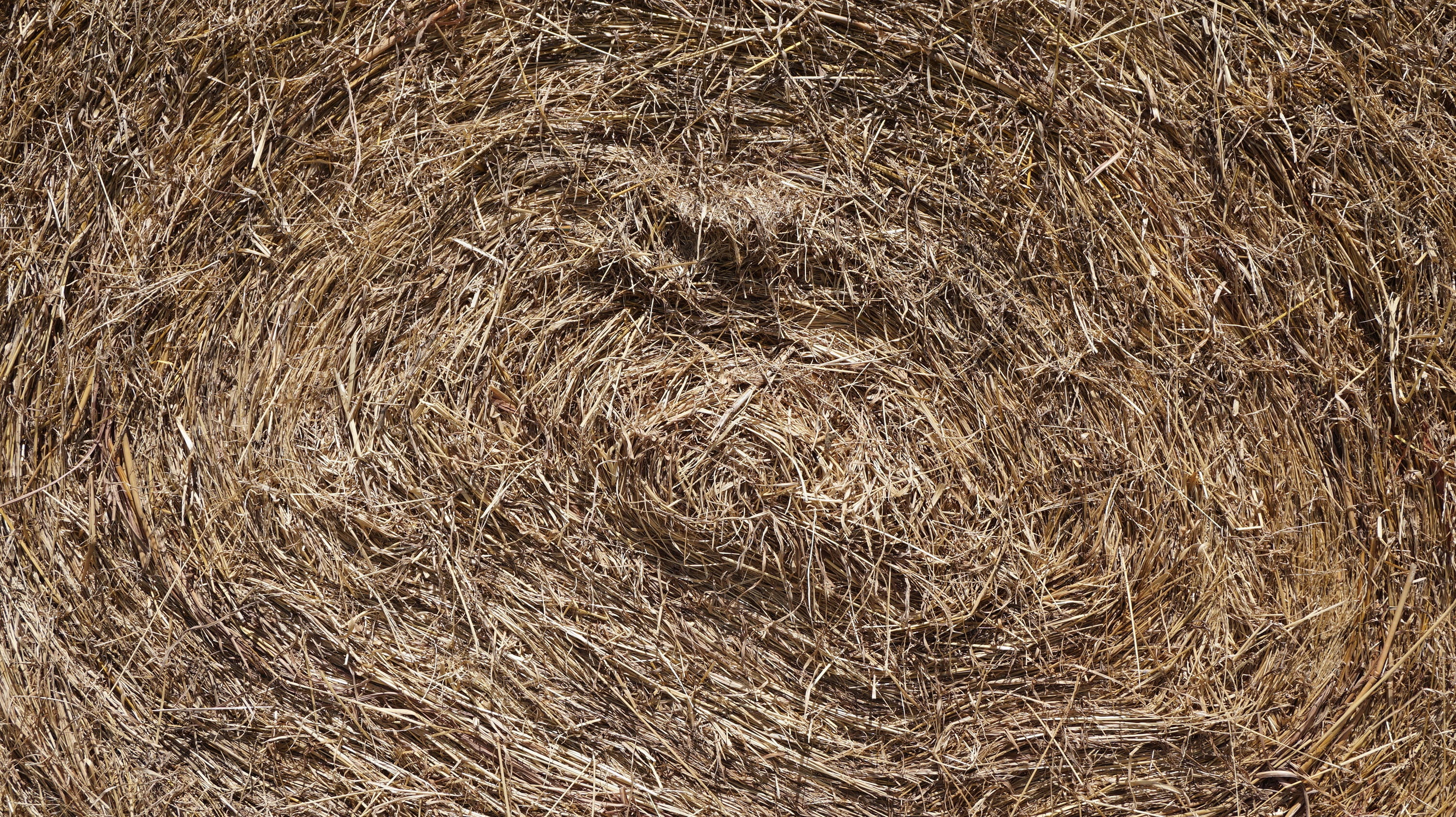 barn, rice straw, high angle view, no people, views, agriculture, plant, farm, dry grass, close-up, 2K, bale, day, brown, field, a pile of grass, nature, HD Wallpaper