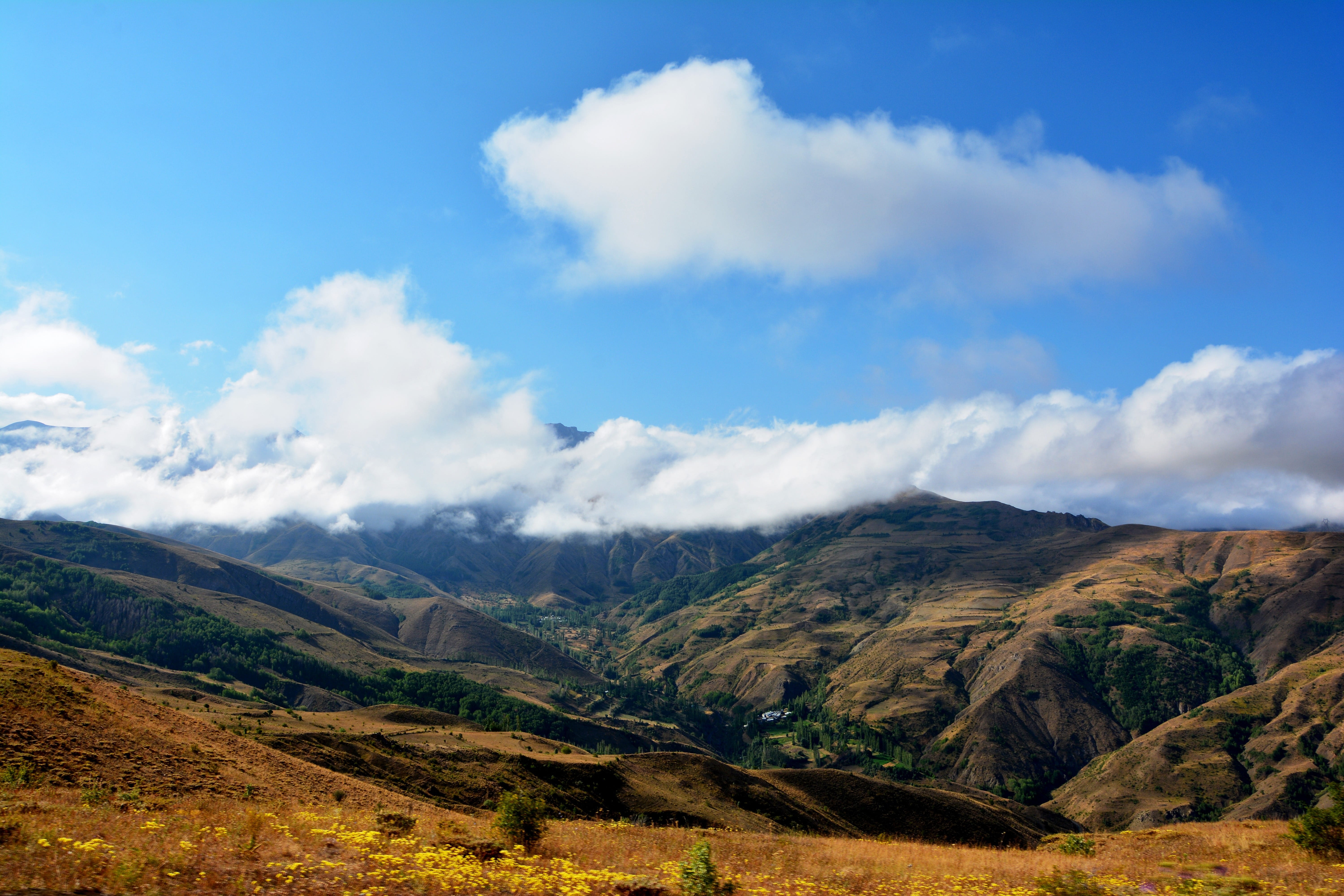 high, sky, pathway, atmosphere, id tell you, scenics - nature, the gate, outdoor, highland, valley, travel, cloud, walk in the mountains, grass, 5K, black sea, HD Wallpaper