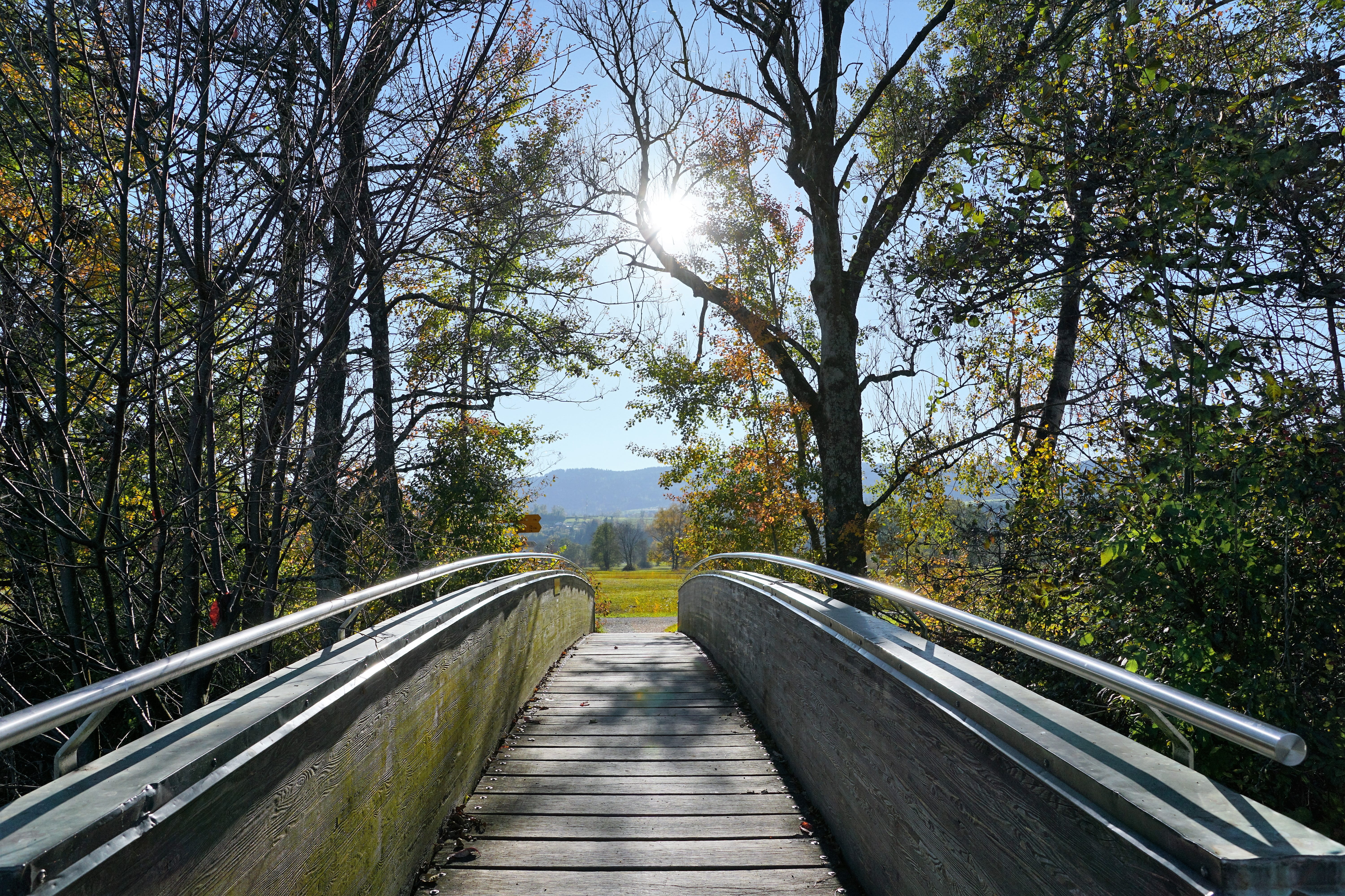 diminishing perspective, bridge, wintry, leaf, outdoors, rest, sun, tranquility, pasture, meadow, transportation, swiss, greifensee, path, plant, holidays, HD Wallpaper
