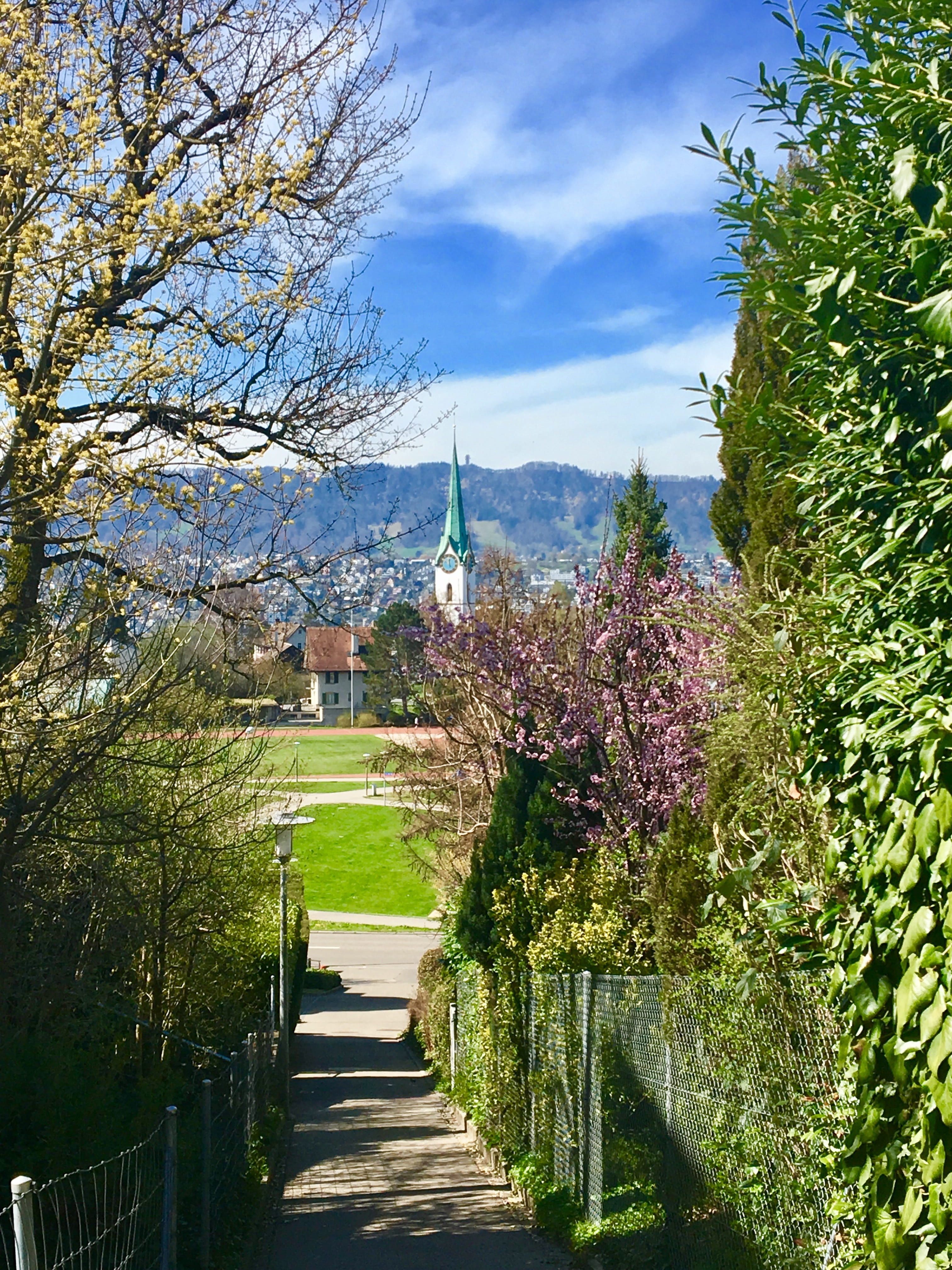 school, grass, spirituality, travel, spring, tree, road, spire, leaf, sky, recovery, travel destinations, away, day, garden, building exterior, season, Phone HD Wallpaper