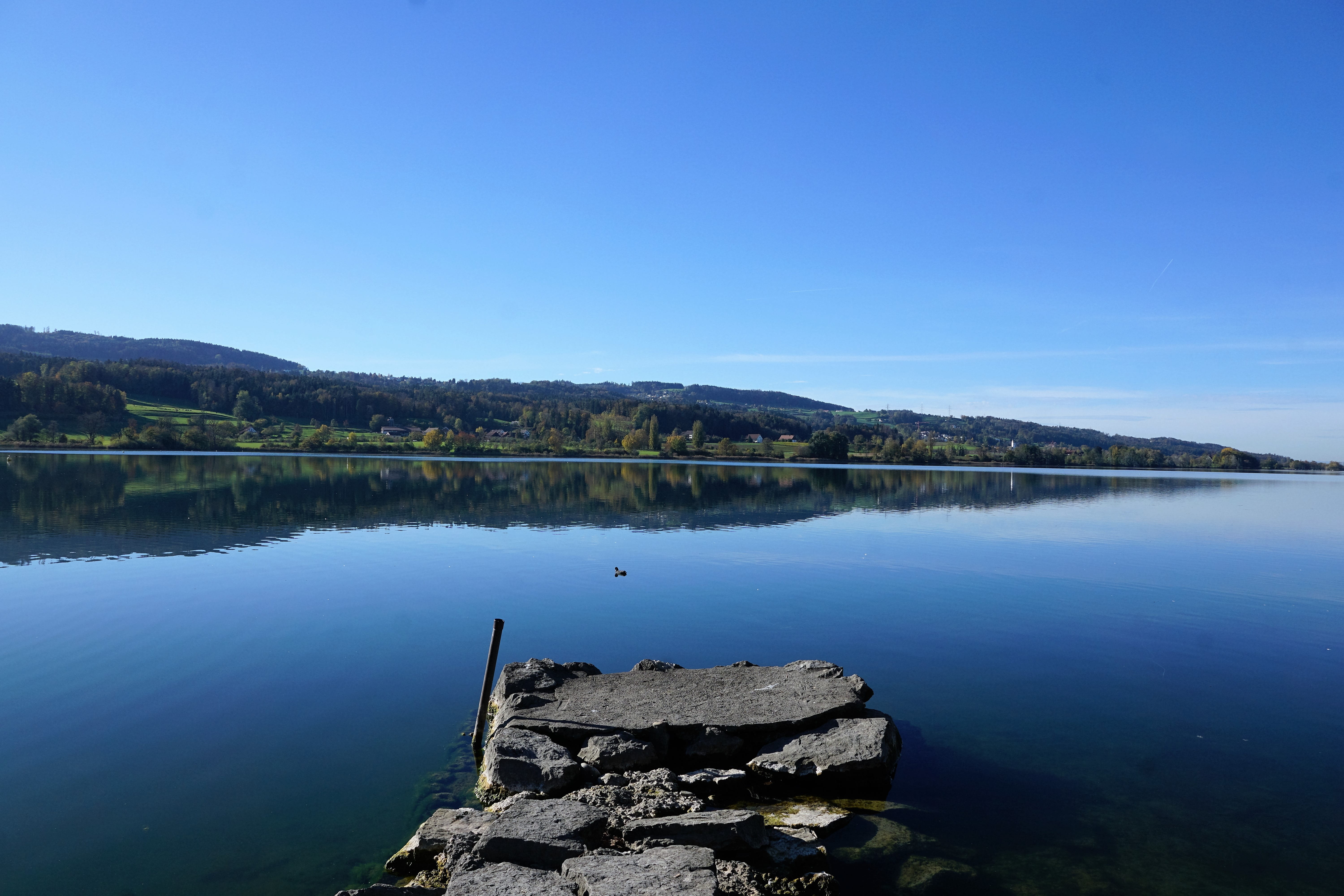 travel, bank, mountain, river, forest, mirror, alpine, tranquility, summer, stones, water, beauty in nature, rest, zurich, panorama, holiday, recovery, HD Wallpaper