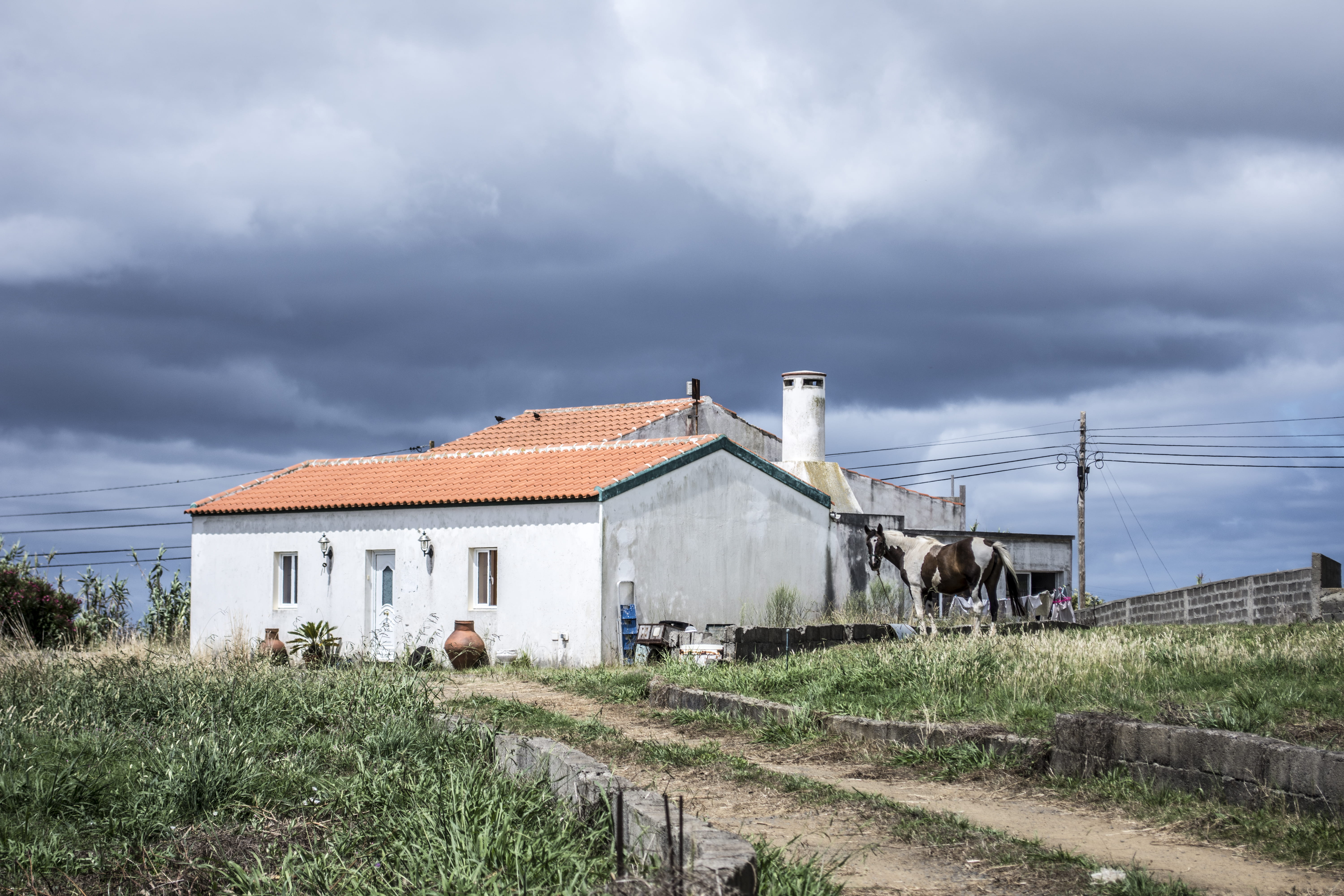 environment, landscape, countryside, farmland, scenic, sky, cloud - sky, plant, outdoors, no people, grass, agriculture, residential district, rural scene, HD Wallpaper